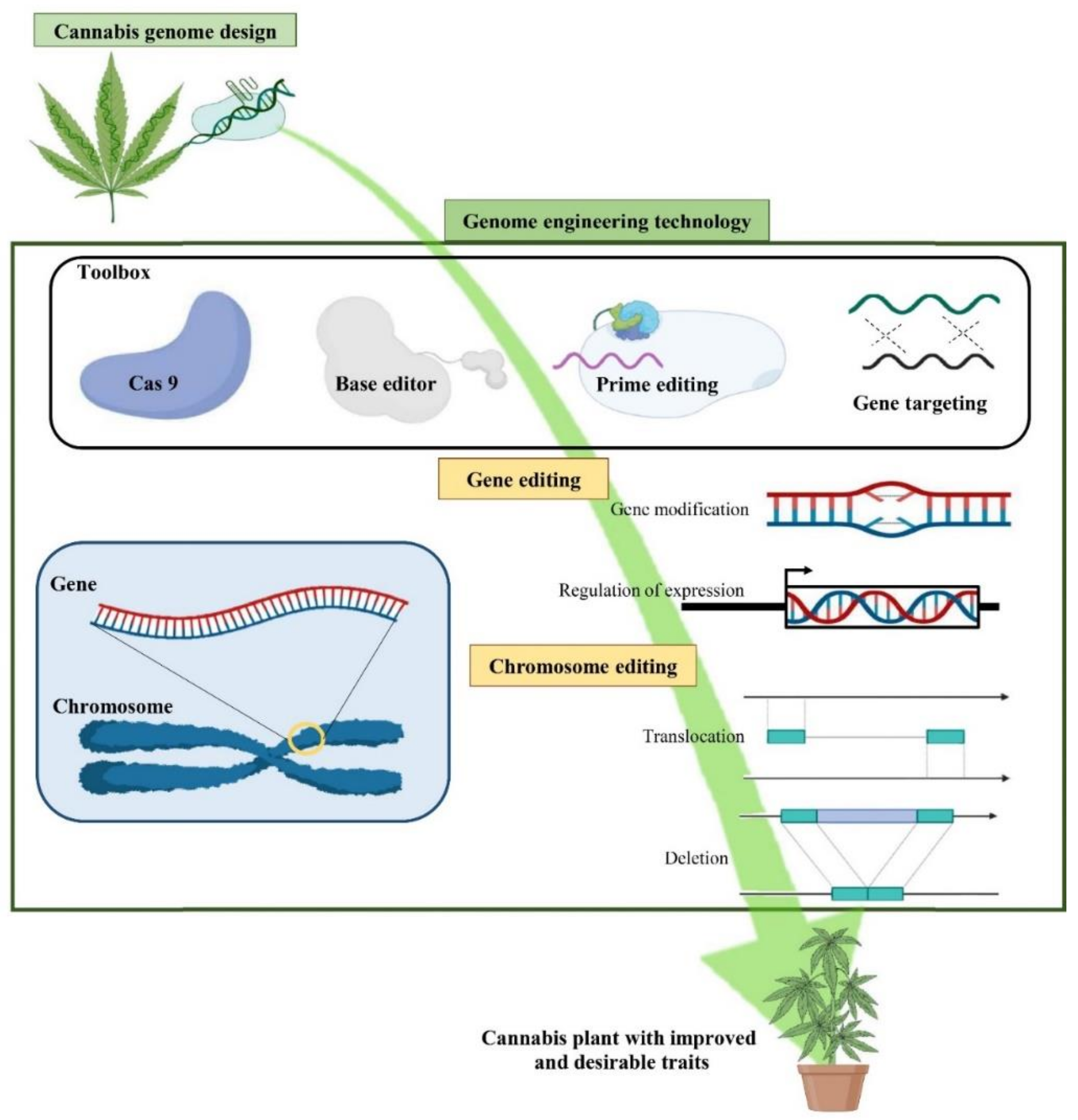 Ijms 22 05671 g009 Ijms 22 05671 g009