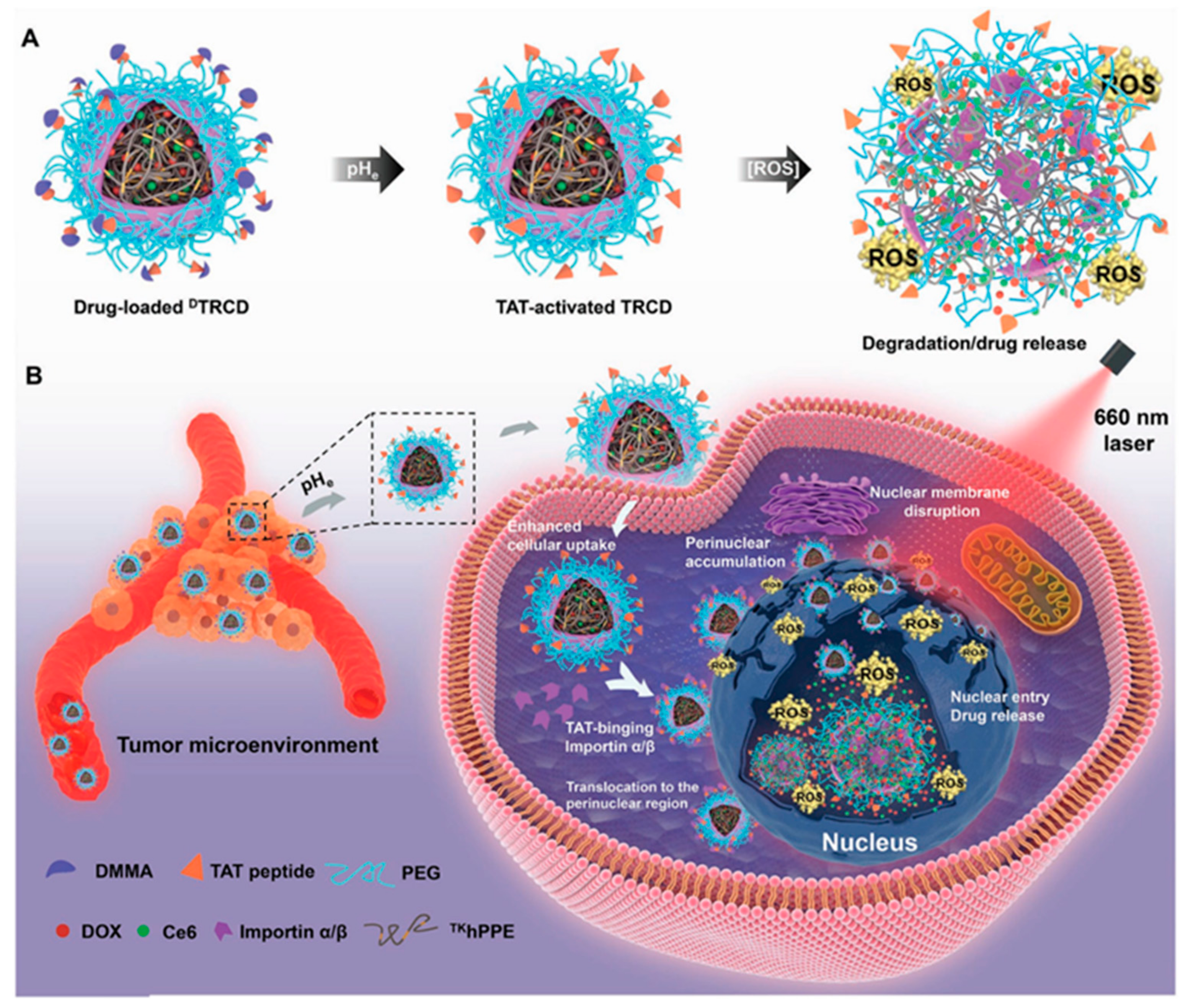 Ijms 22 05698 g003 Ijms 22 05698 g003