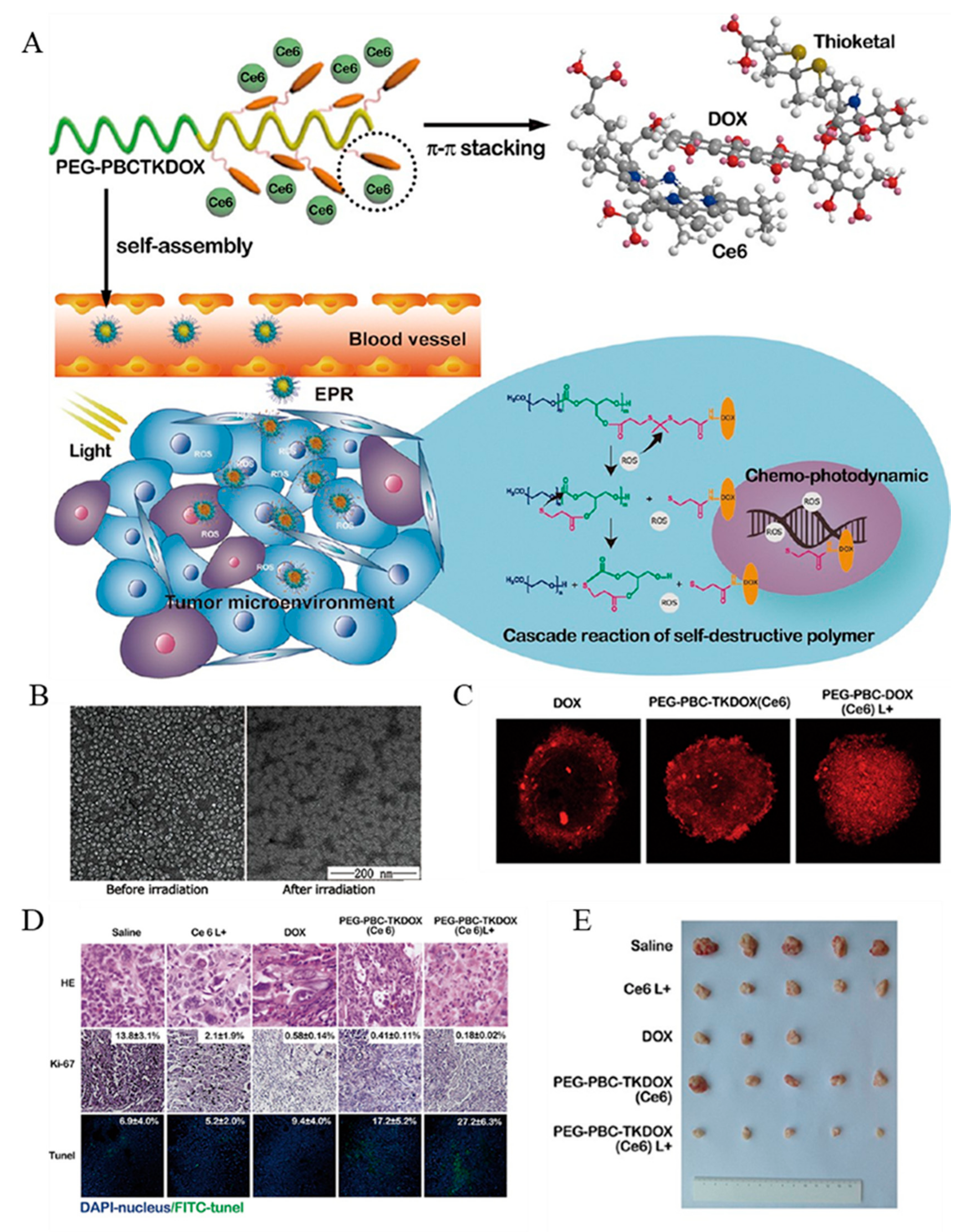 Ijms 22 05698 g006 Ijms 22 05698 g006