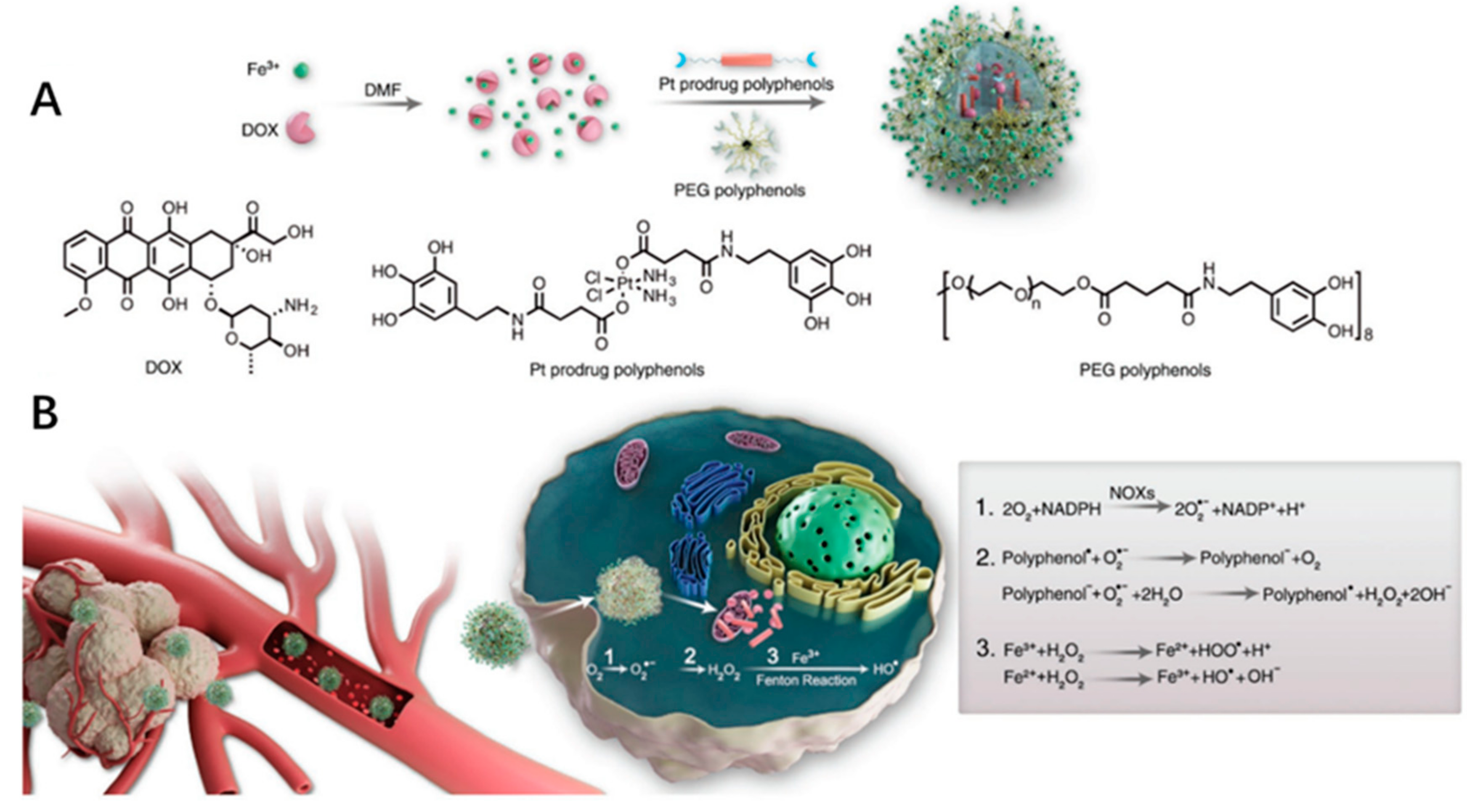 Ijms 22 05698 g009 Ijms 22 05698 g009