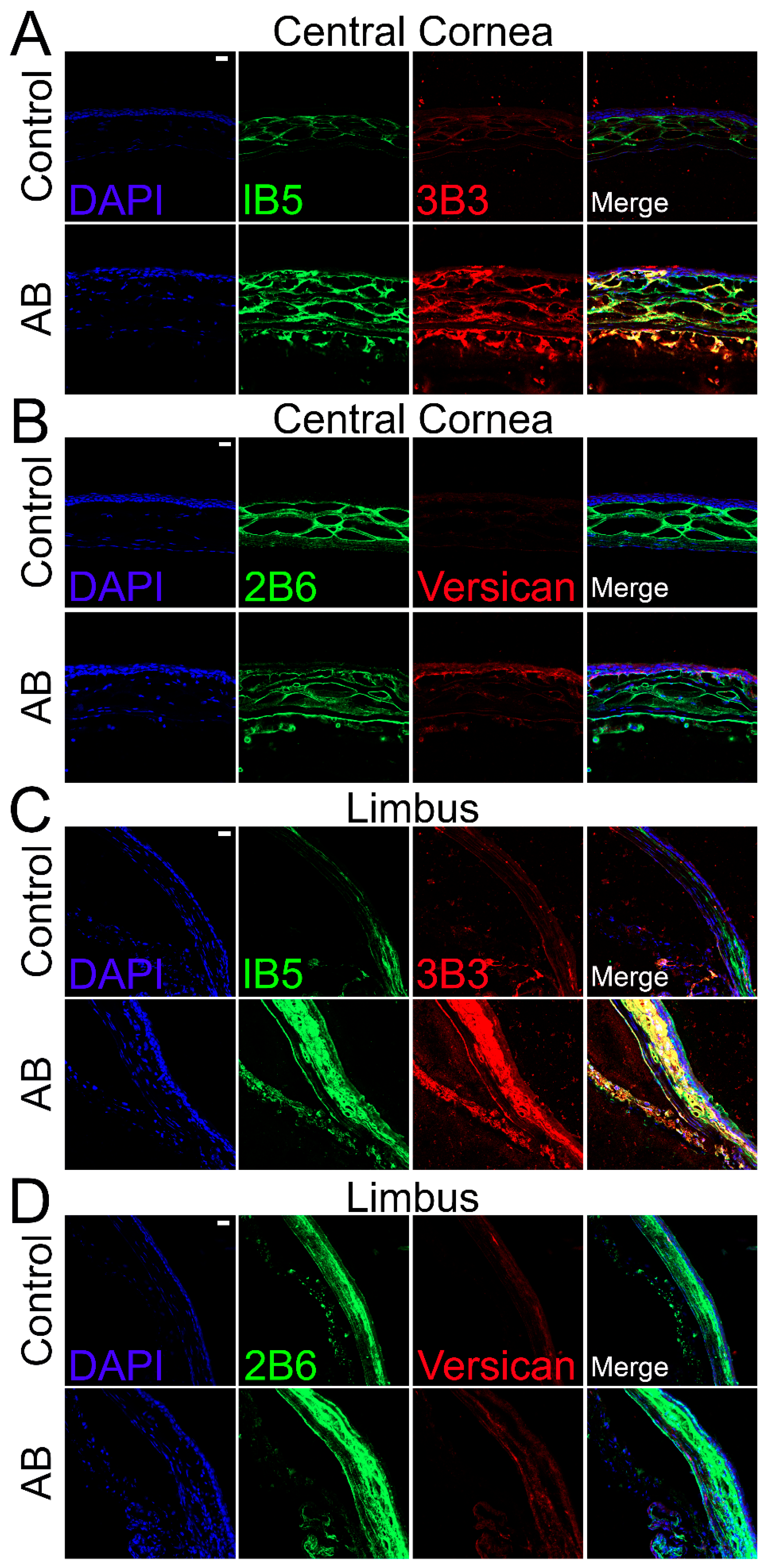 Ijms 22 05708 g004 Ijms 22 05708 g004