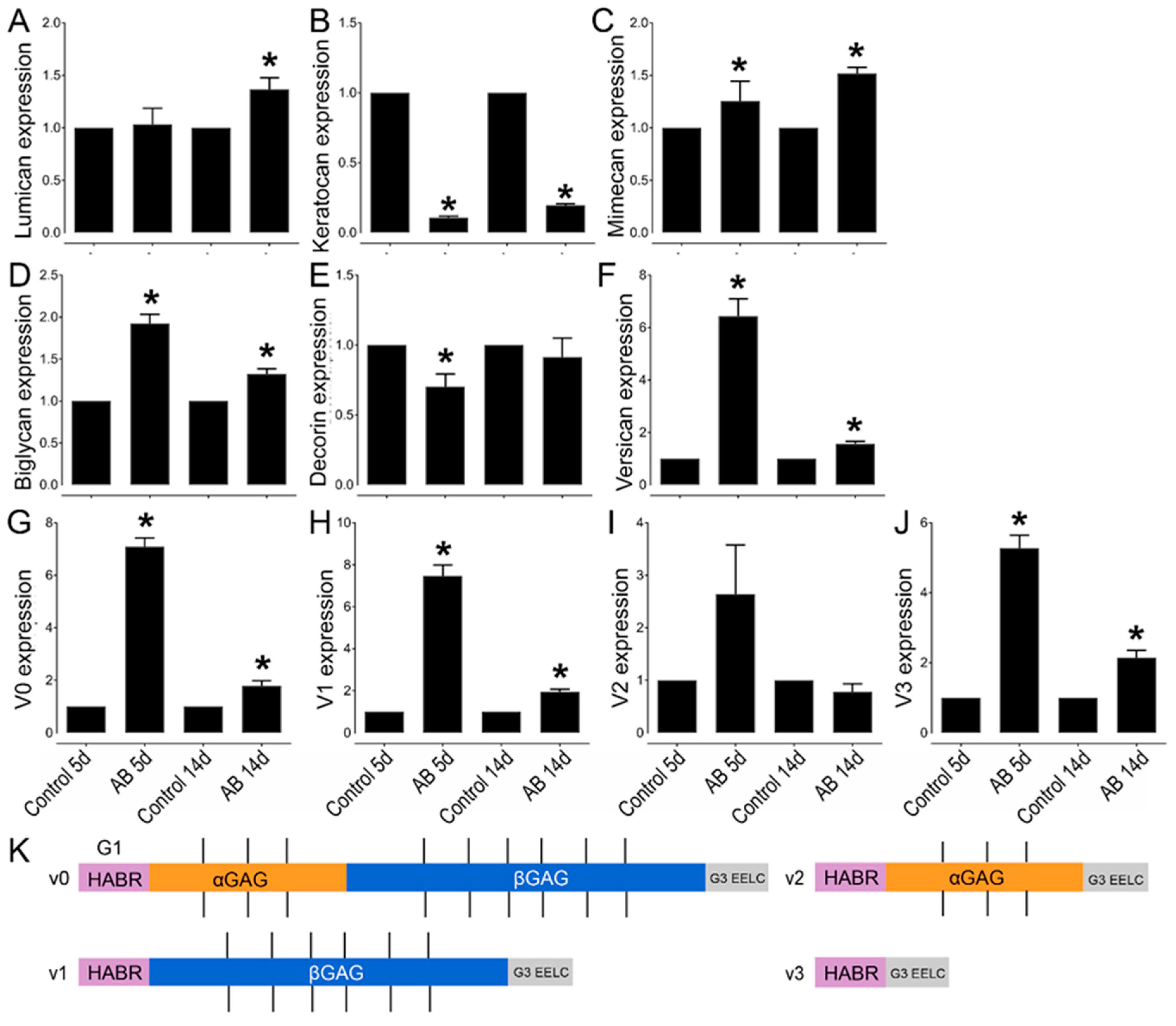 Ijms 22 05708 g005 Ijms 22 05708 g005