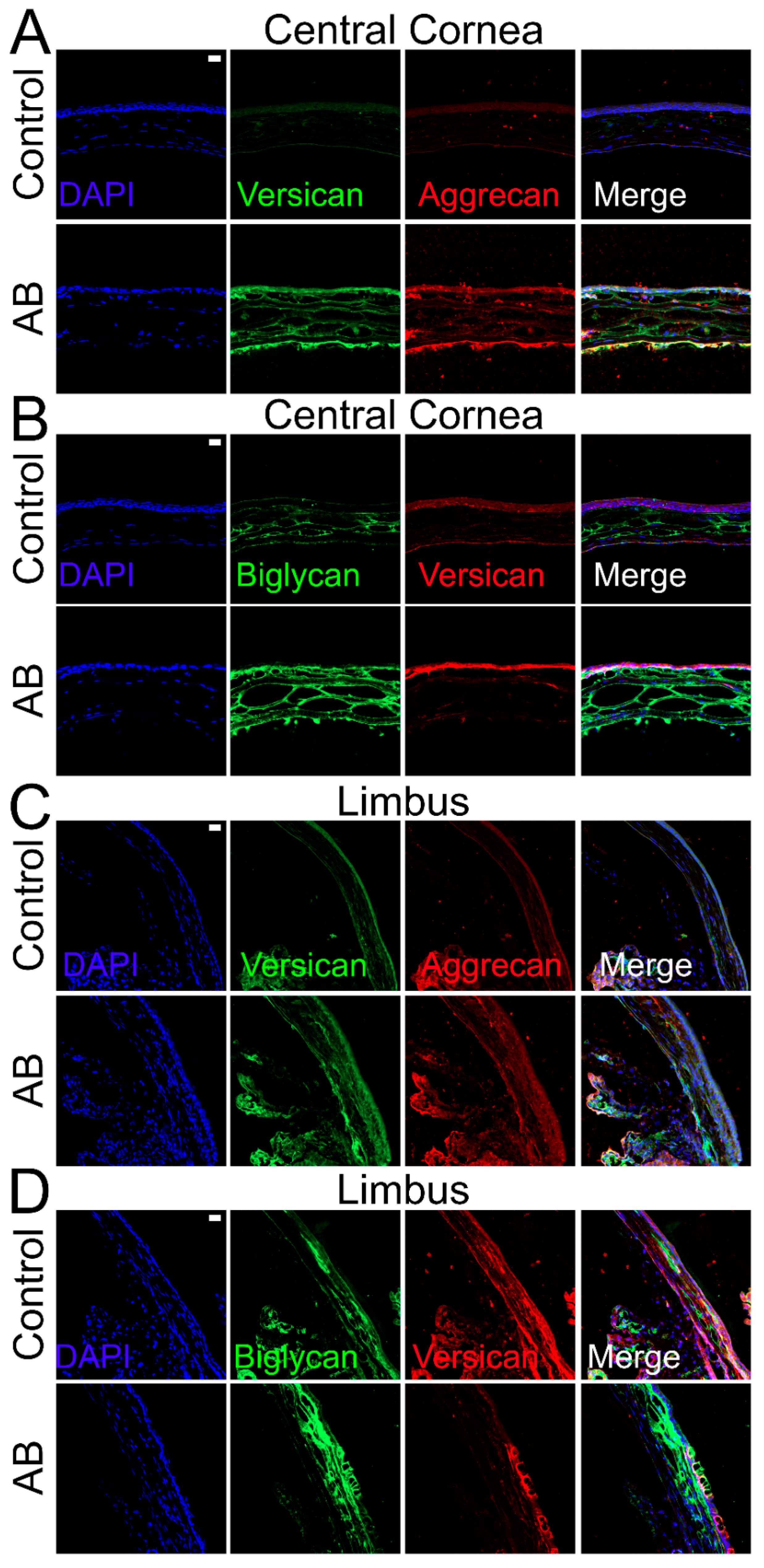 Ijms 22 05708 g006 Ijms 22 05708 g006