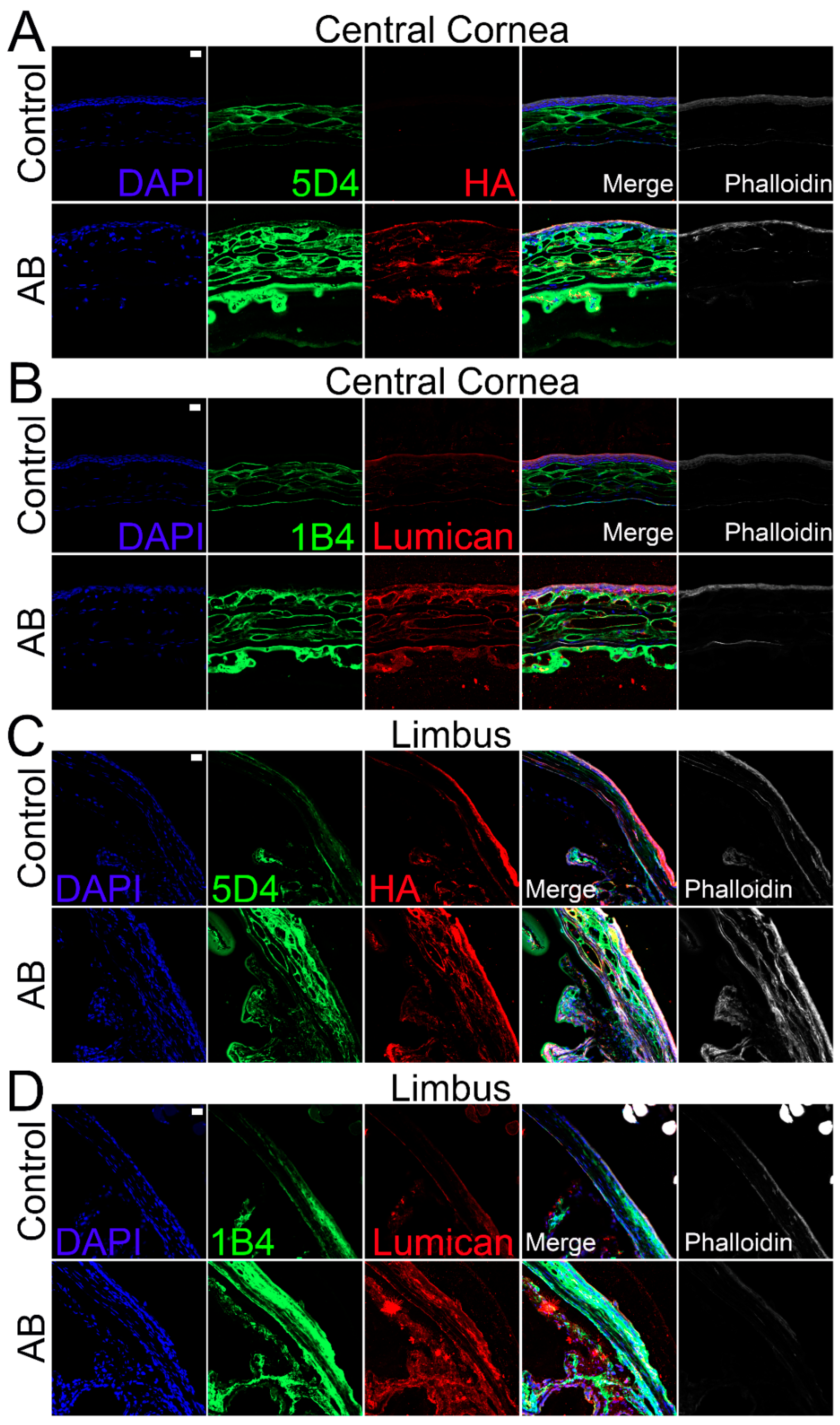 Ijms 22 05708 g007 Ijms 22 05708 g007