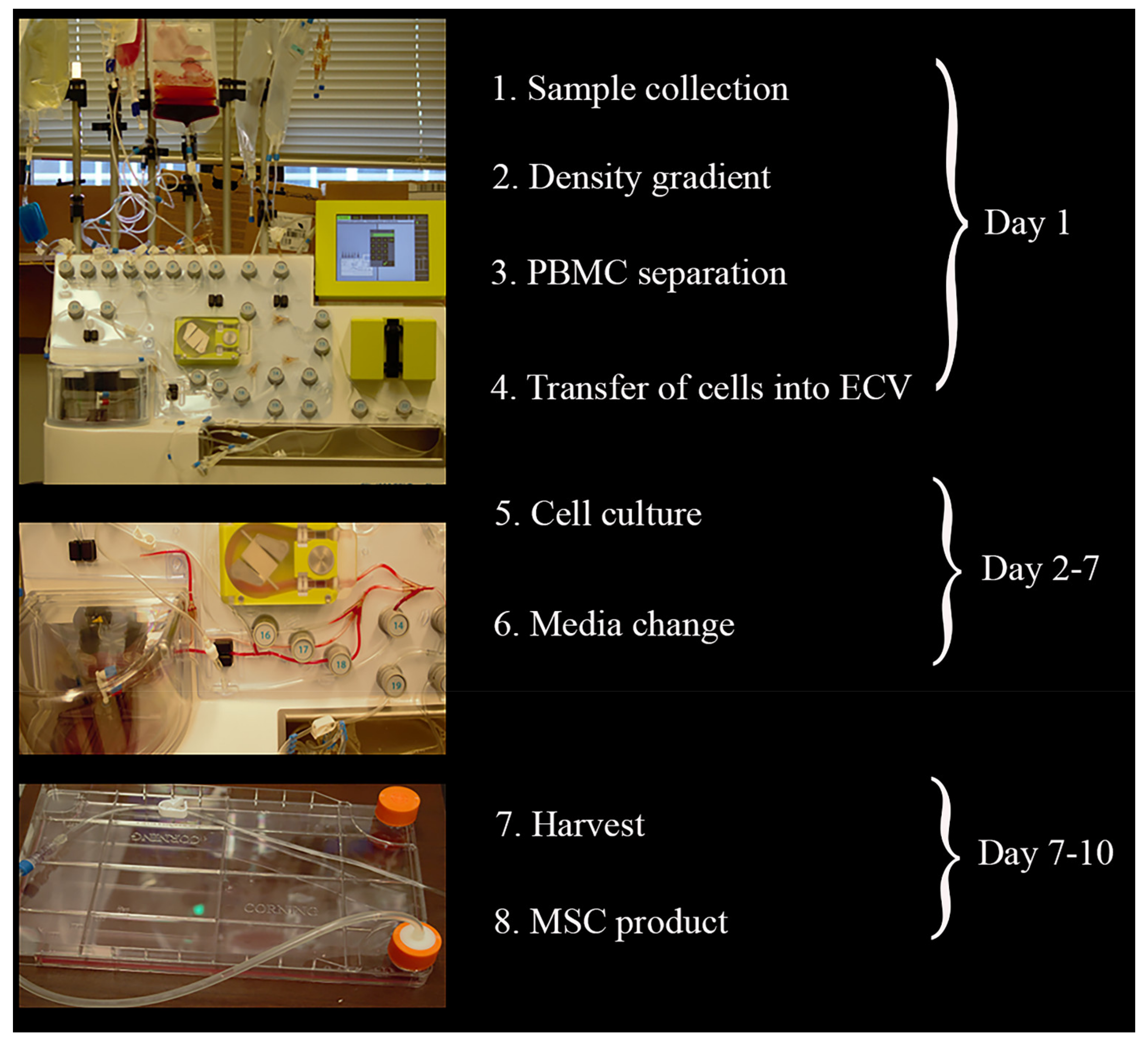 Ijms 22 05728 g001 Ijms 22 05728 g001