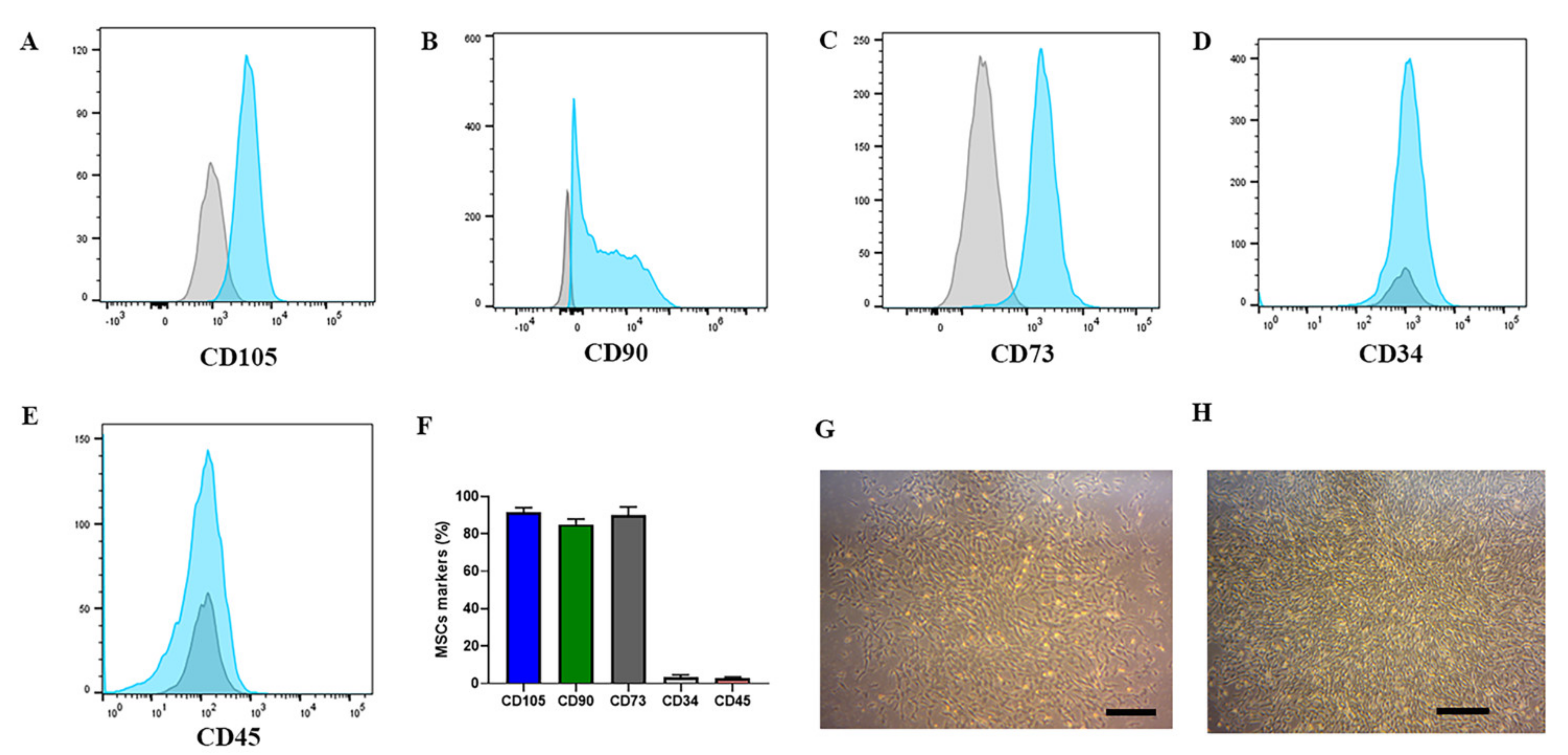 Ijms 22 05728 g003 Ijms 22 05728 g003