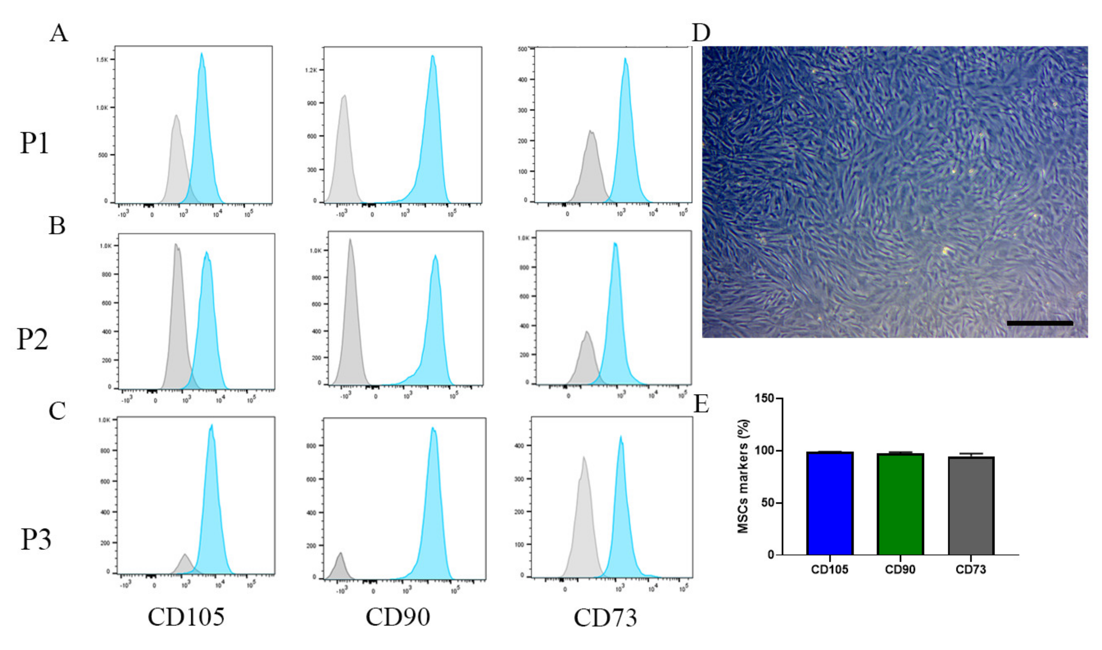 Ijms 22 05728 g004 Ijms 22 05728 g004