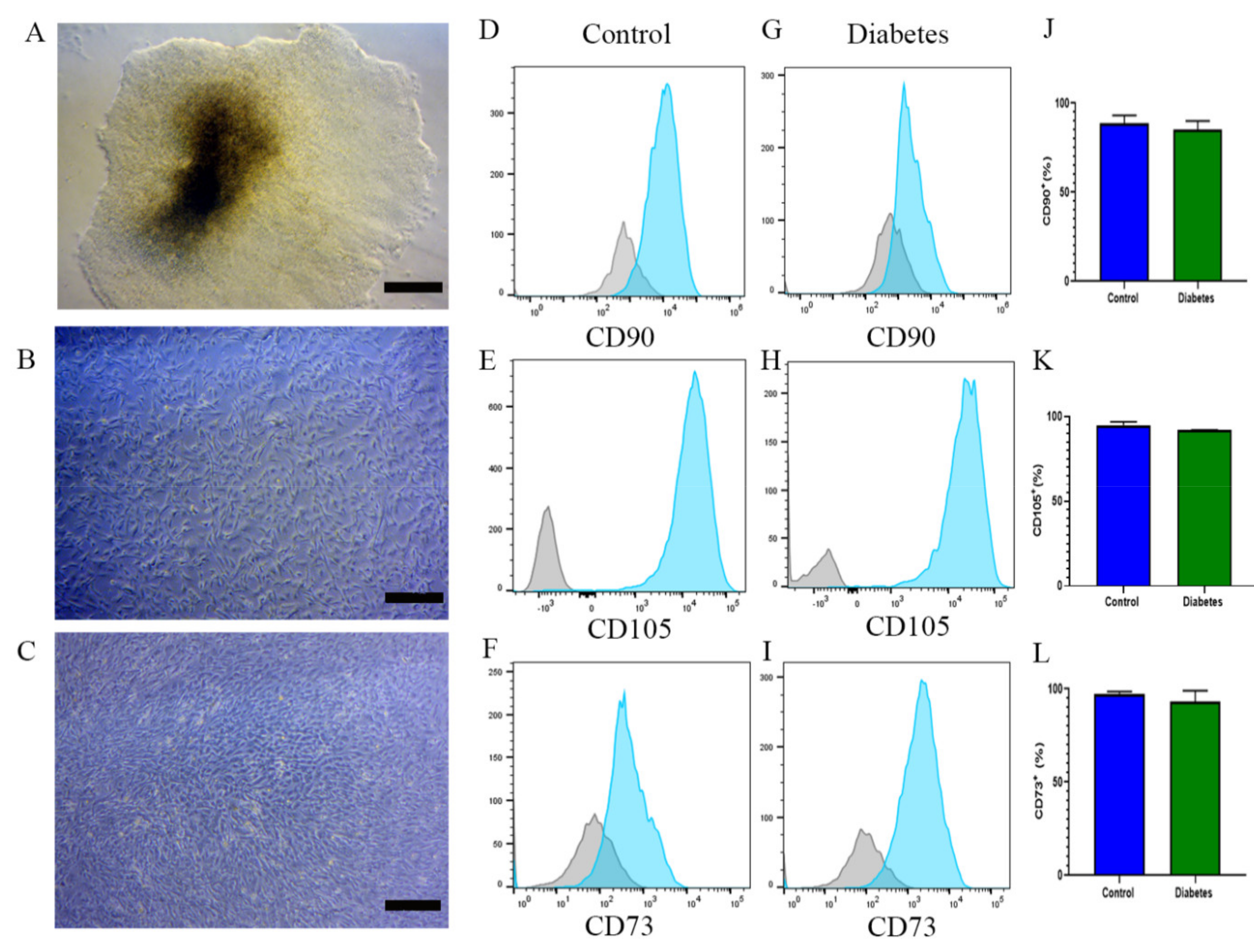 Ijms 22 05728 g005 Ijms 22 05728 g005