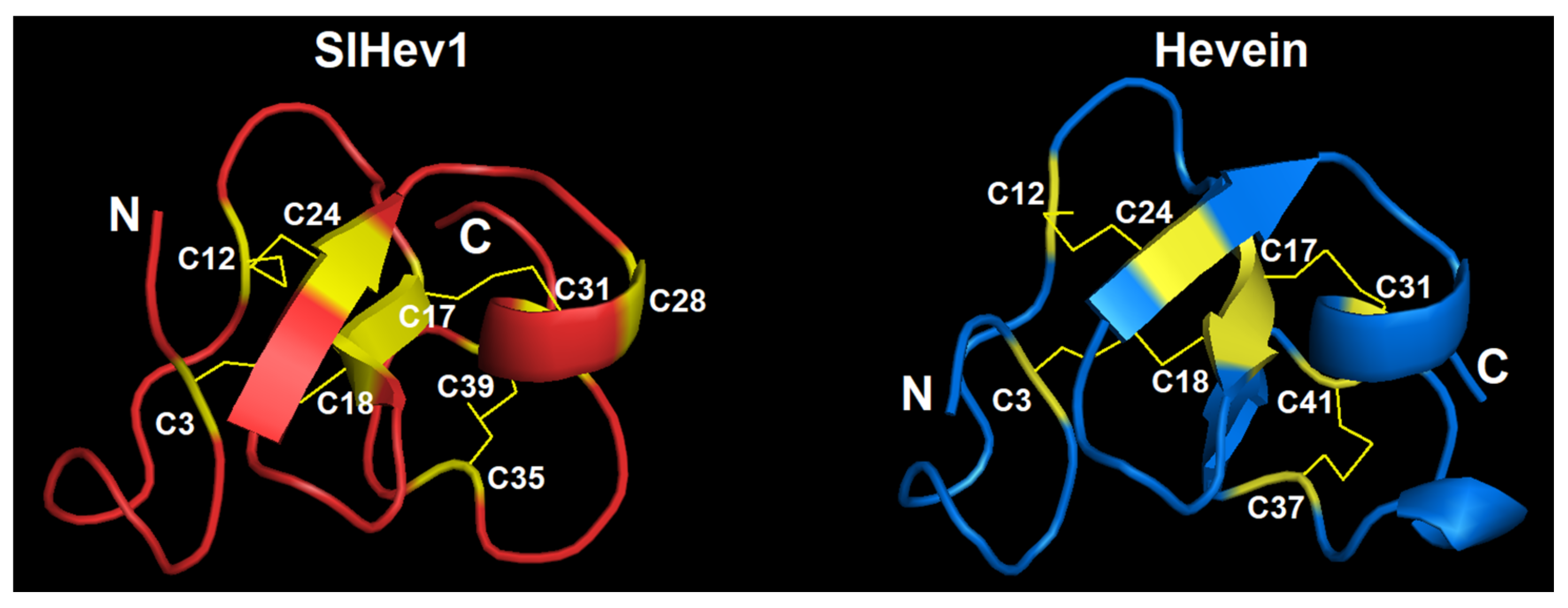 Ijms 22 05741 g009 Ijms 22 05741 g009