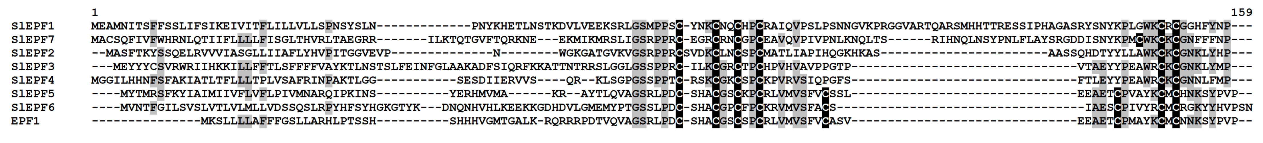 Ijms 22 05741 g015 Ijms 22 05741 g015