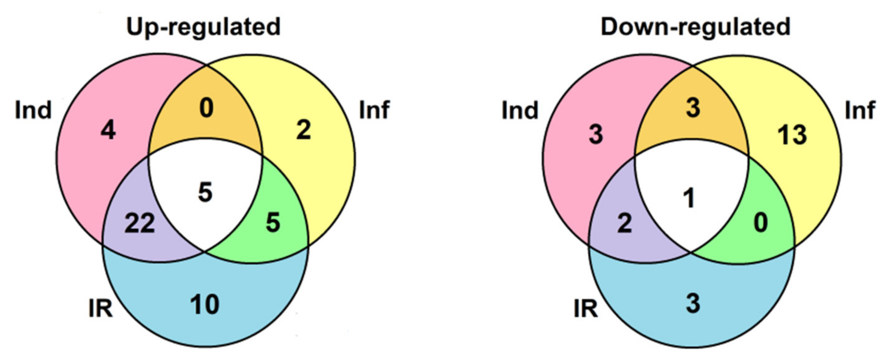 Ijms 22 05741 g019 Ijms 22 05741 g019