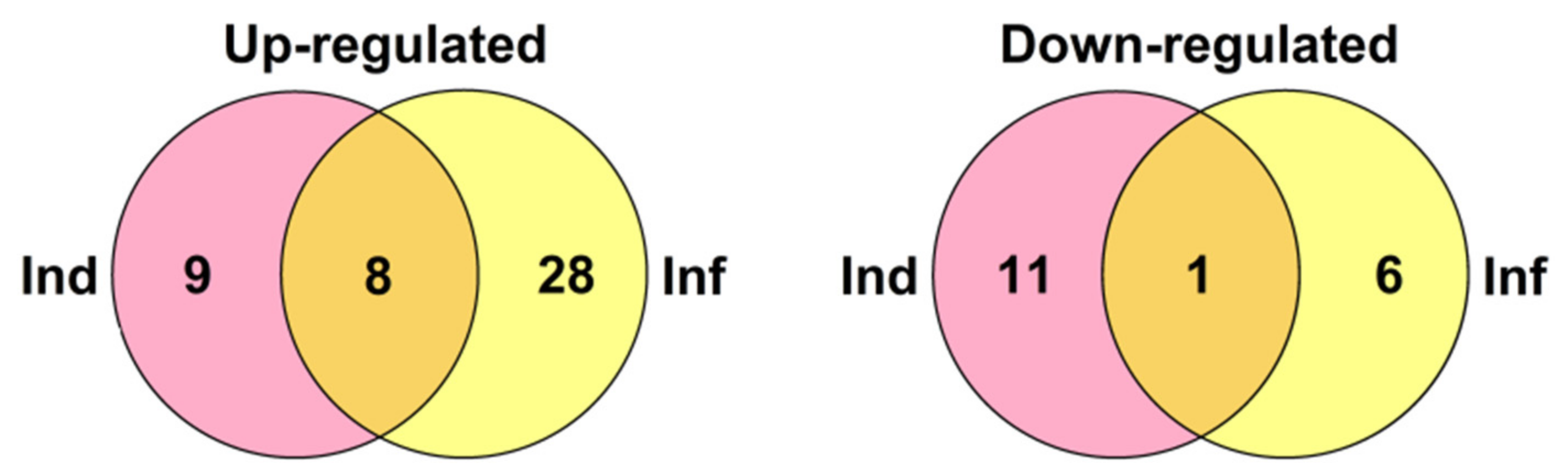 Ijms 22 05741 g021 Ijms 22 05741 g021