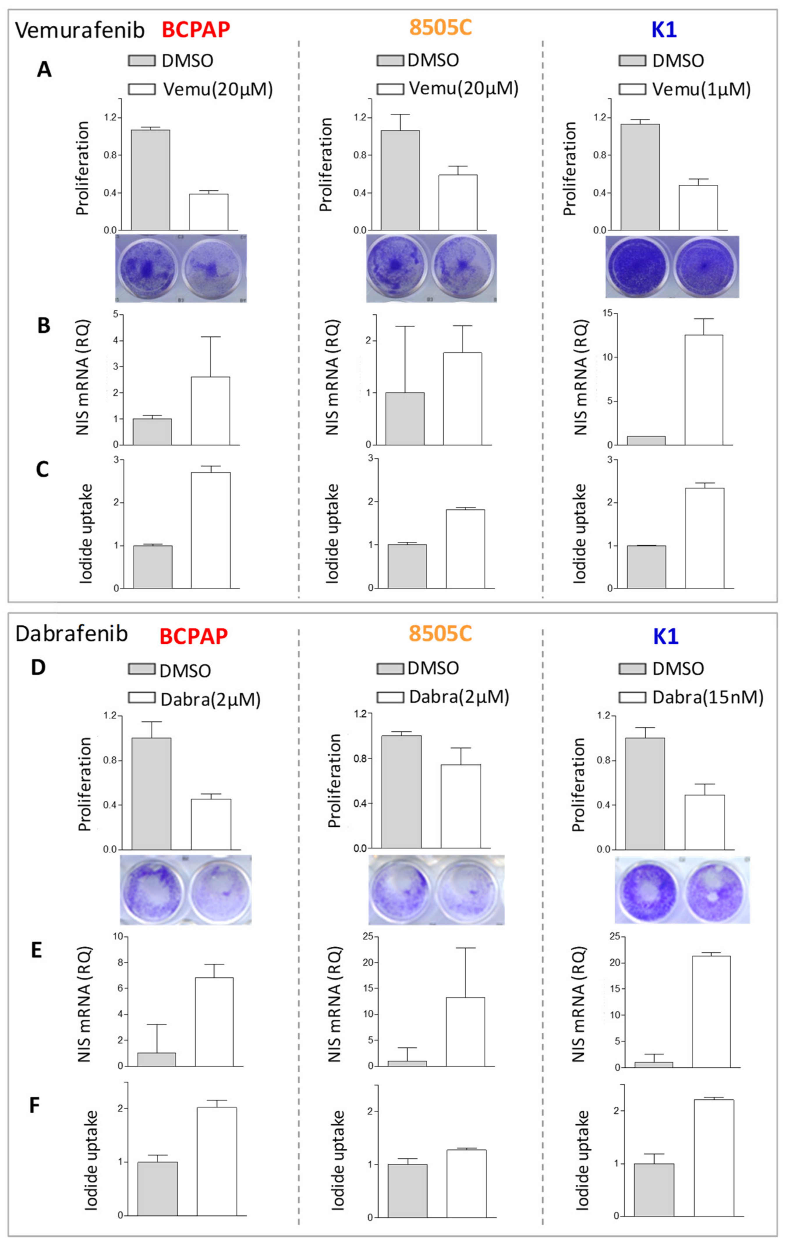 Ijms 22 05744 g003 Ijms 22 05744 g003