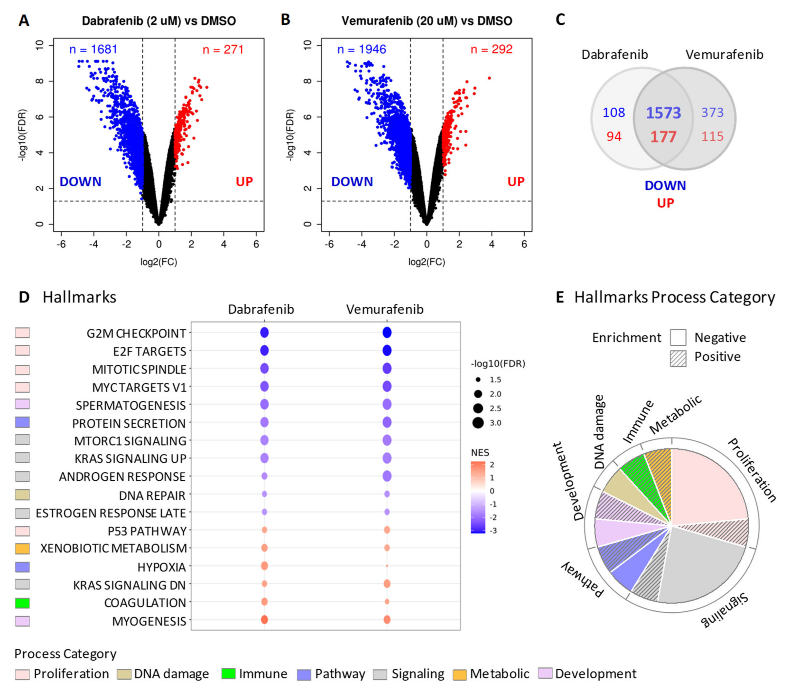 Ijms 22 05744 g004 Ijms 22 05744 g004