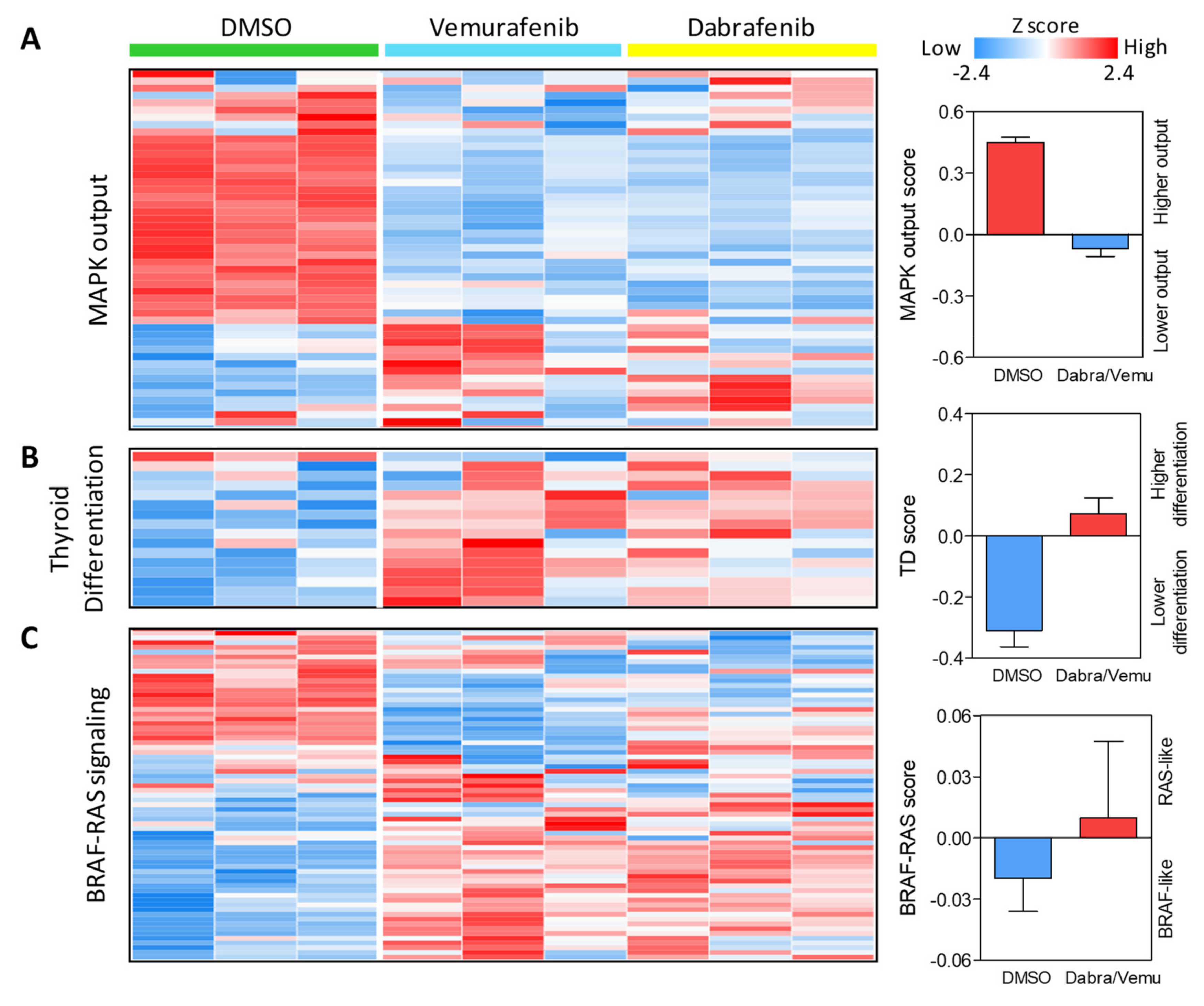 Ijms 22 05744 g005 Ijms 22 05744 g005