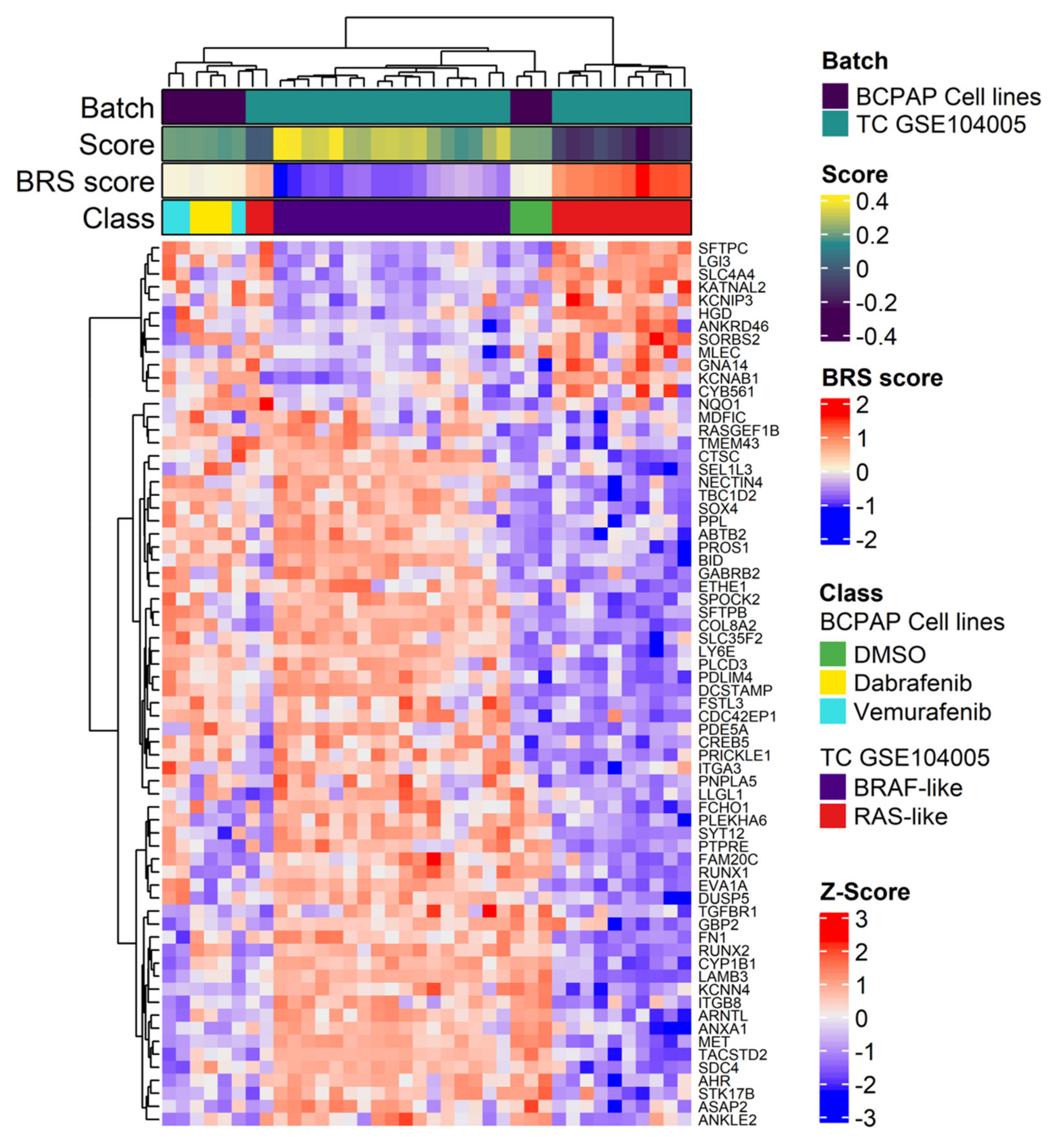 Ijms 22 05744 g006 Ijms 22 05744 g006