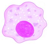 Ijms 22 05749 i001 Ijms 22 05749 i001