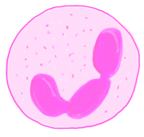 Ijms 22 05749 i002 Ijms 22 05749 i002