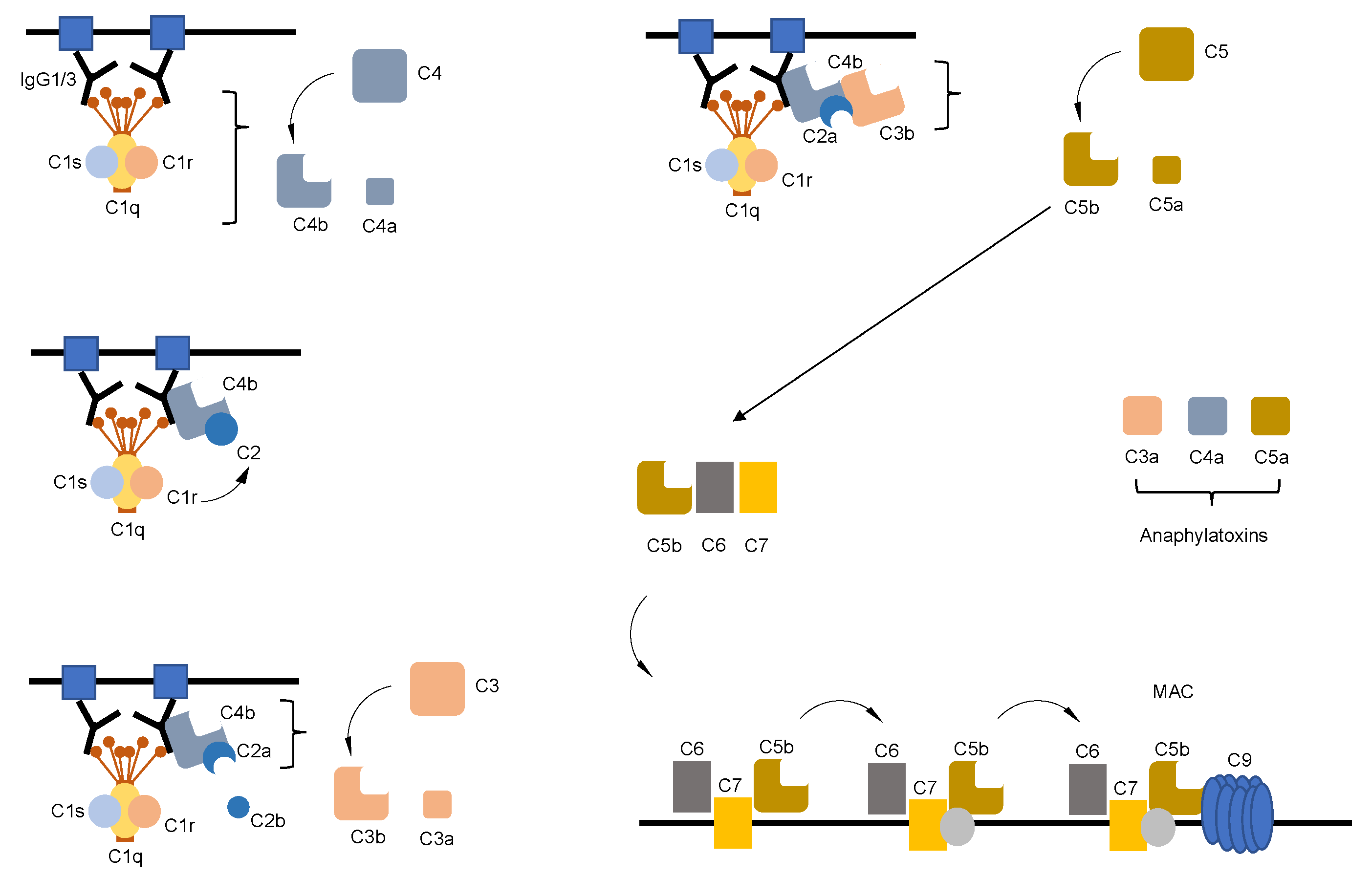 Ijms 22 05755 g001 Ijms 22 05755 g001