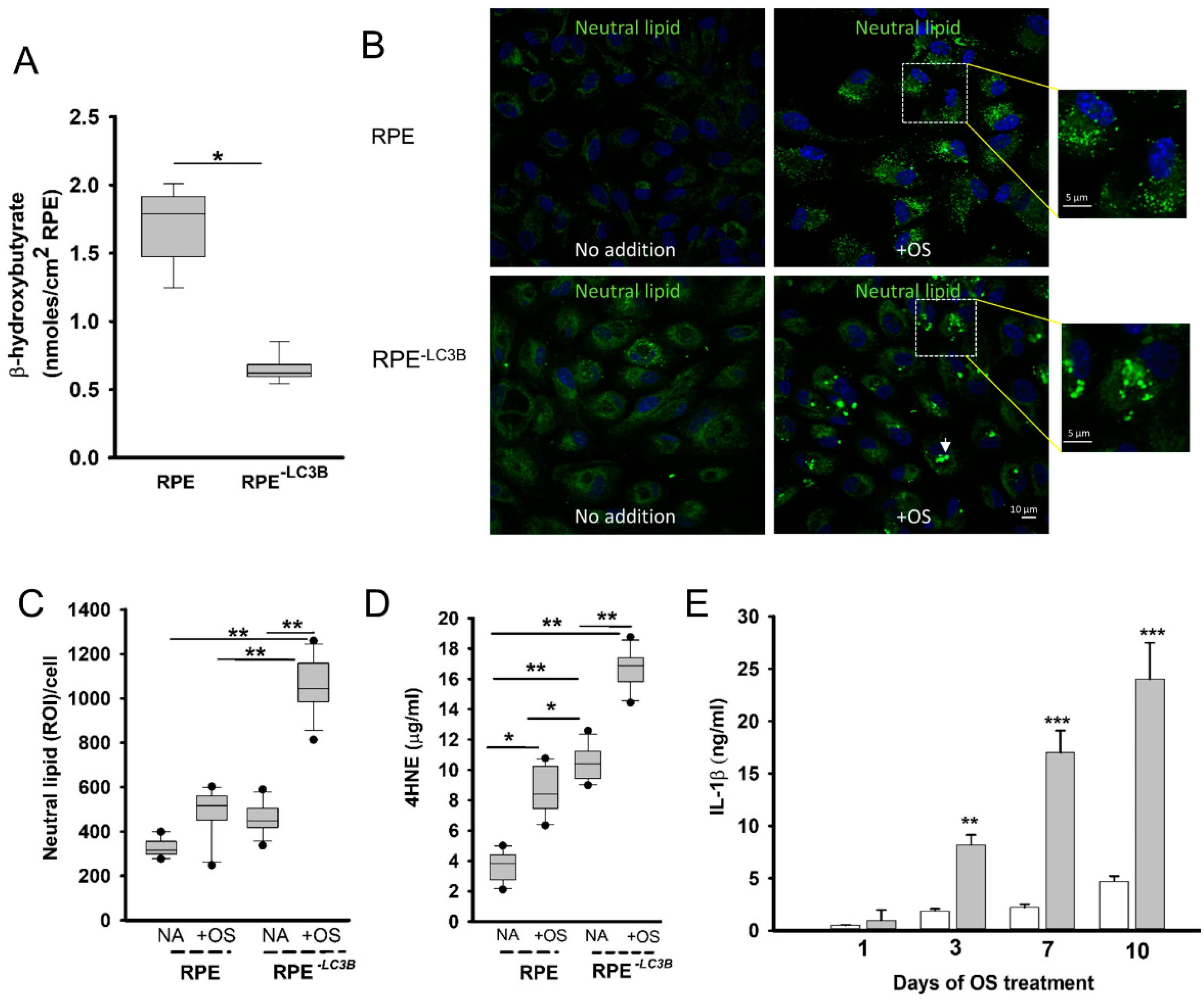 Ijms 22 05764 g001 Ijms 22 05764 g001