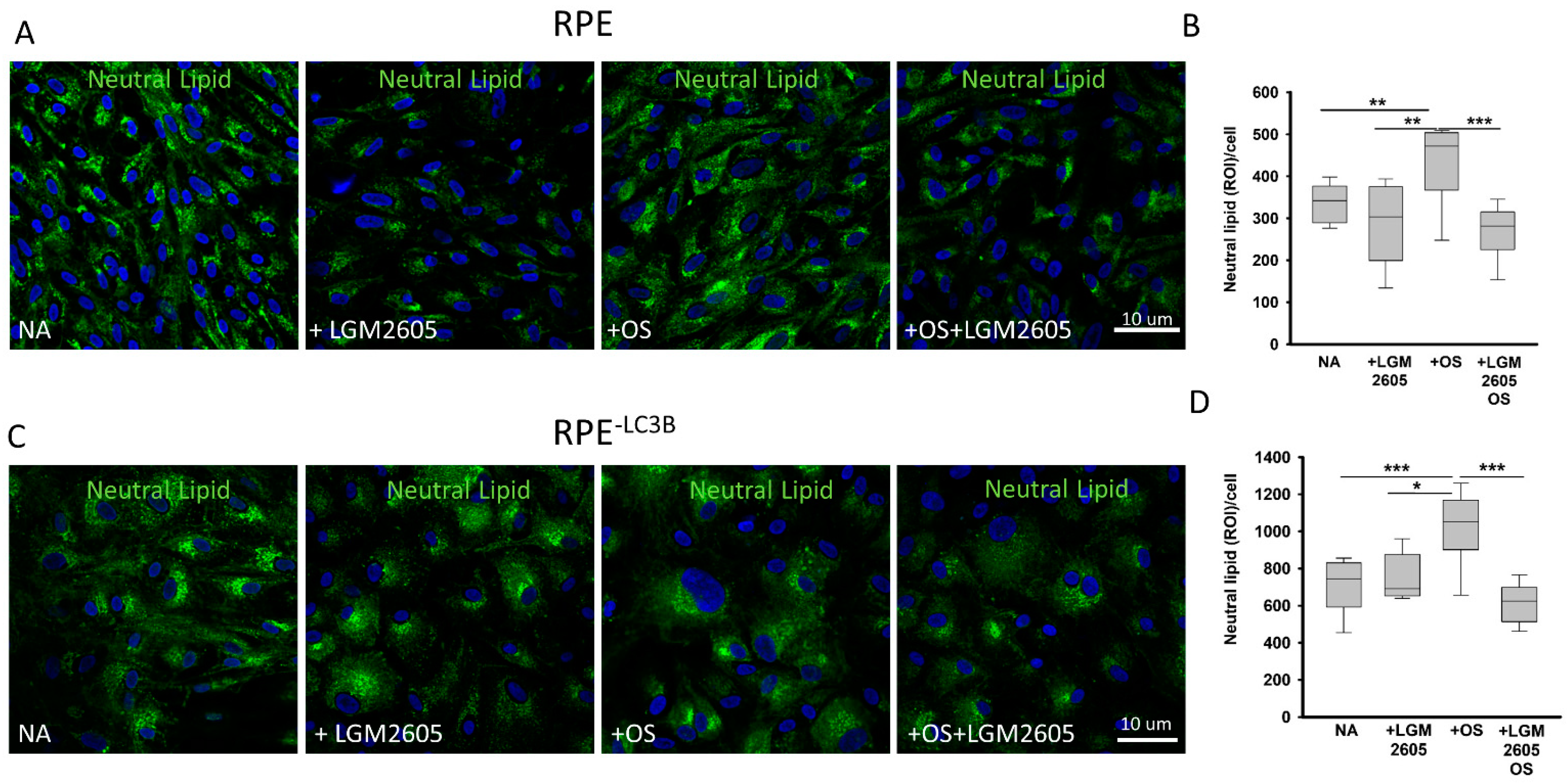 Ijms 22 05764 g003 Ijms 22 05764 g003