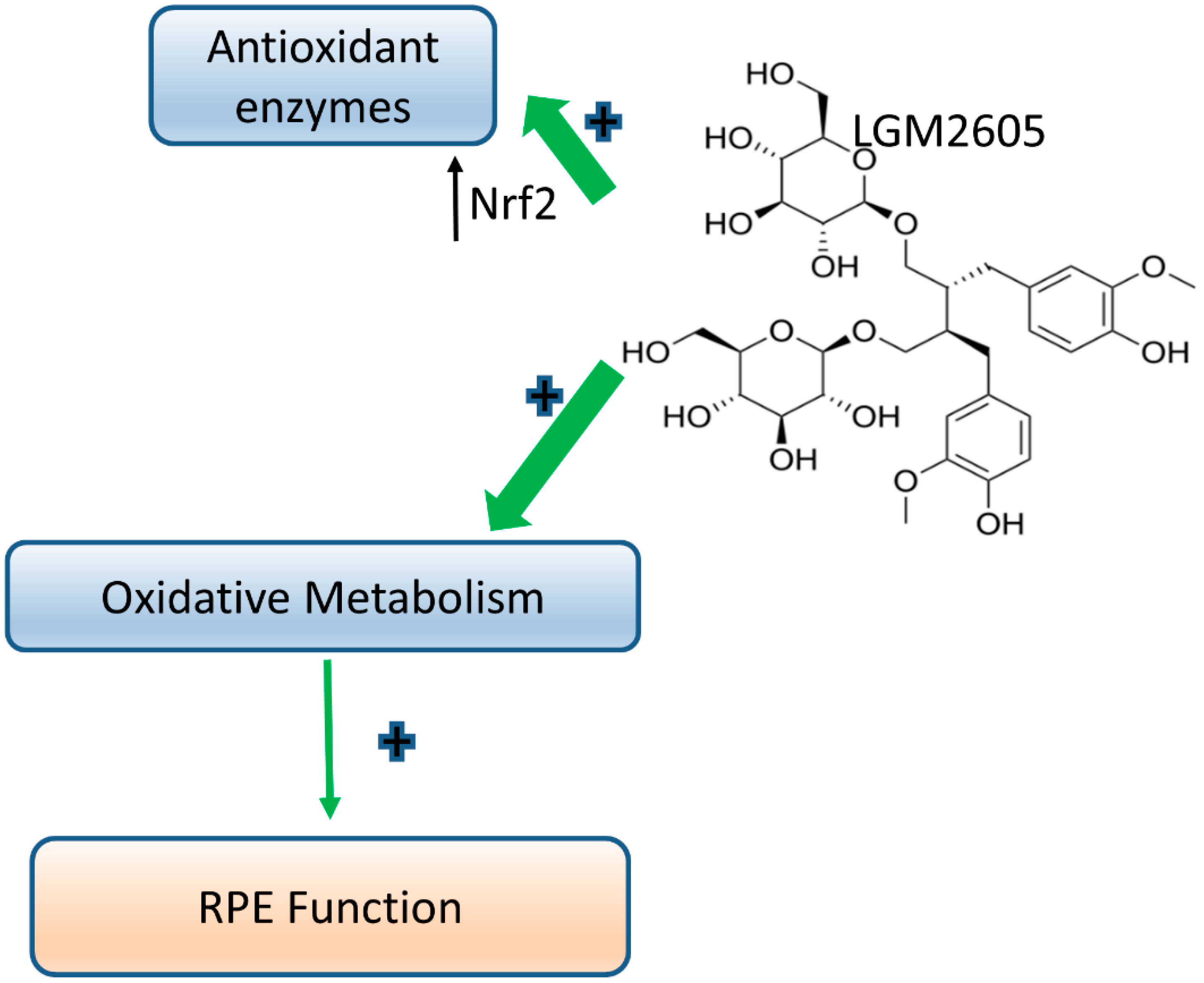Ijms 22 05764 g006 Ijms 22 05764 g006