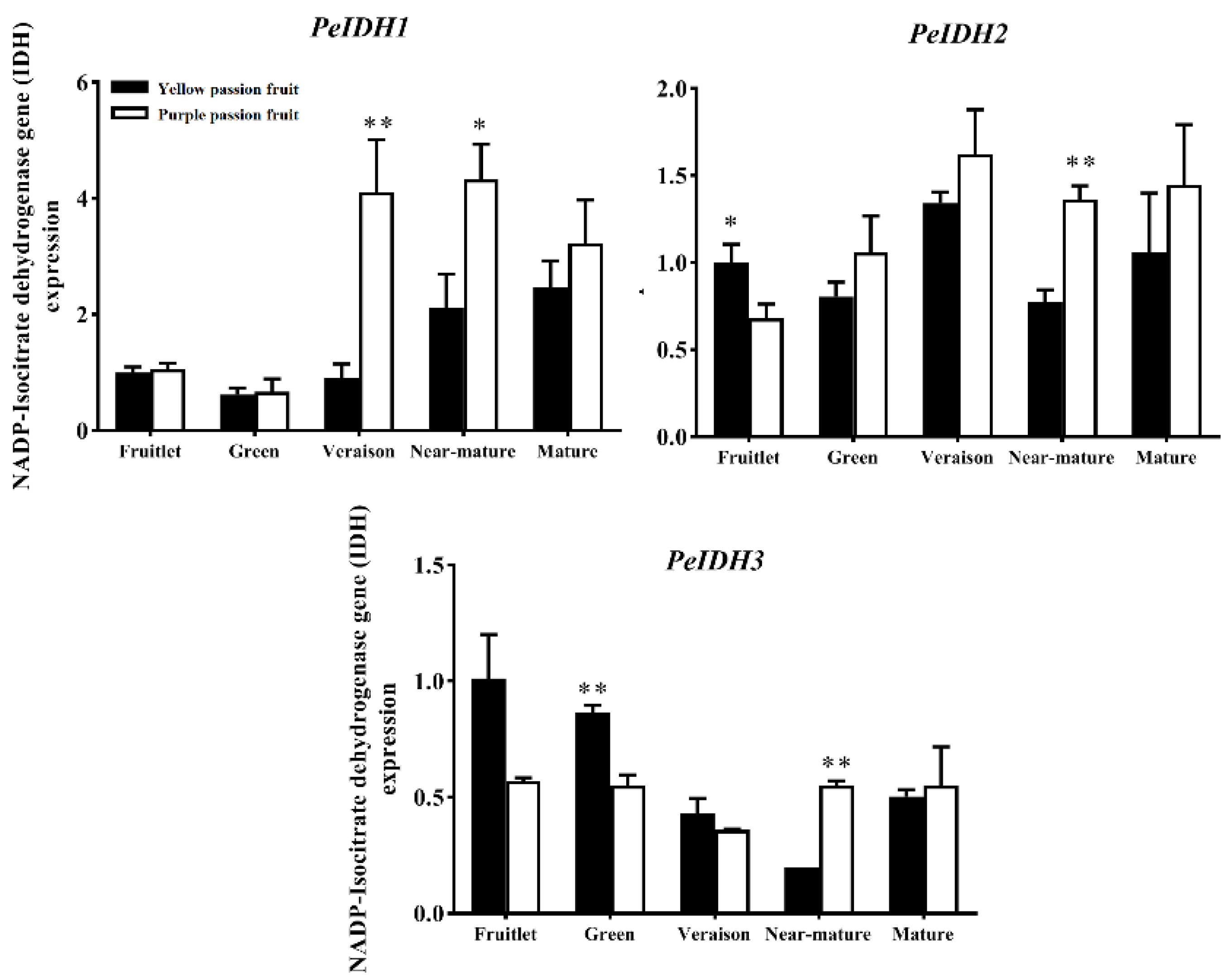 Ijms 22 05765 g007 Ijms 22 05765 g007