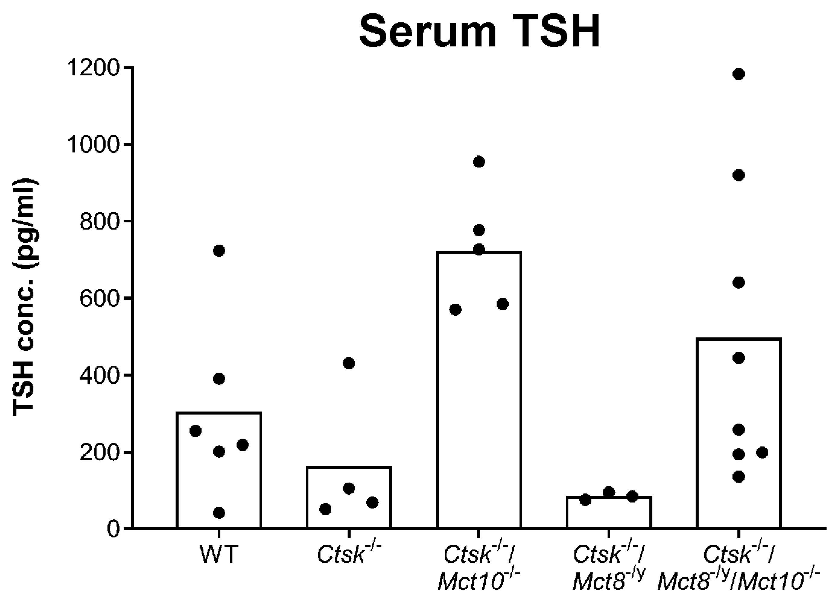 Ijms 22 05776 g001 Ijms 22 05776 g001