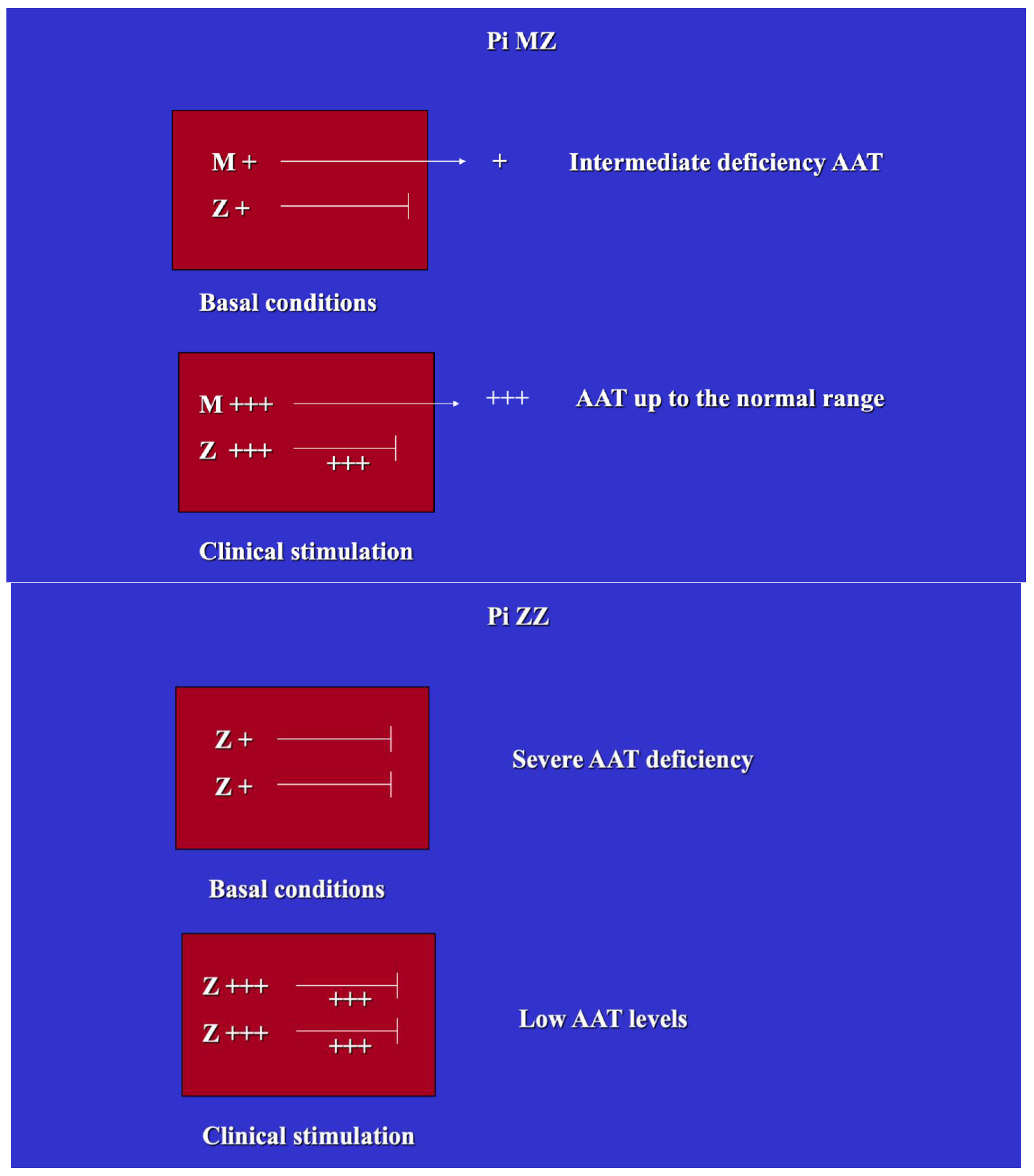 Ijms 22 05778 g002 Ijms 22 05778 g002