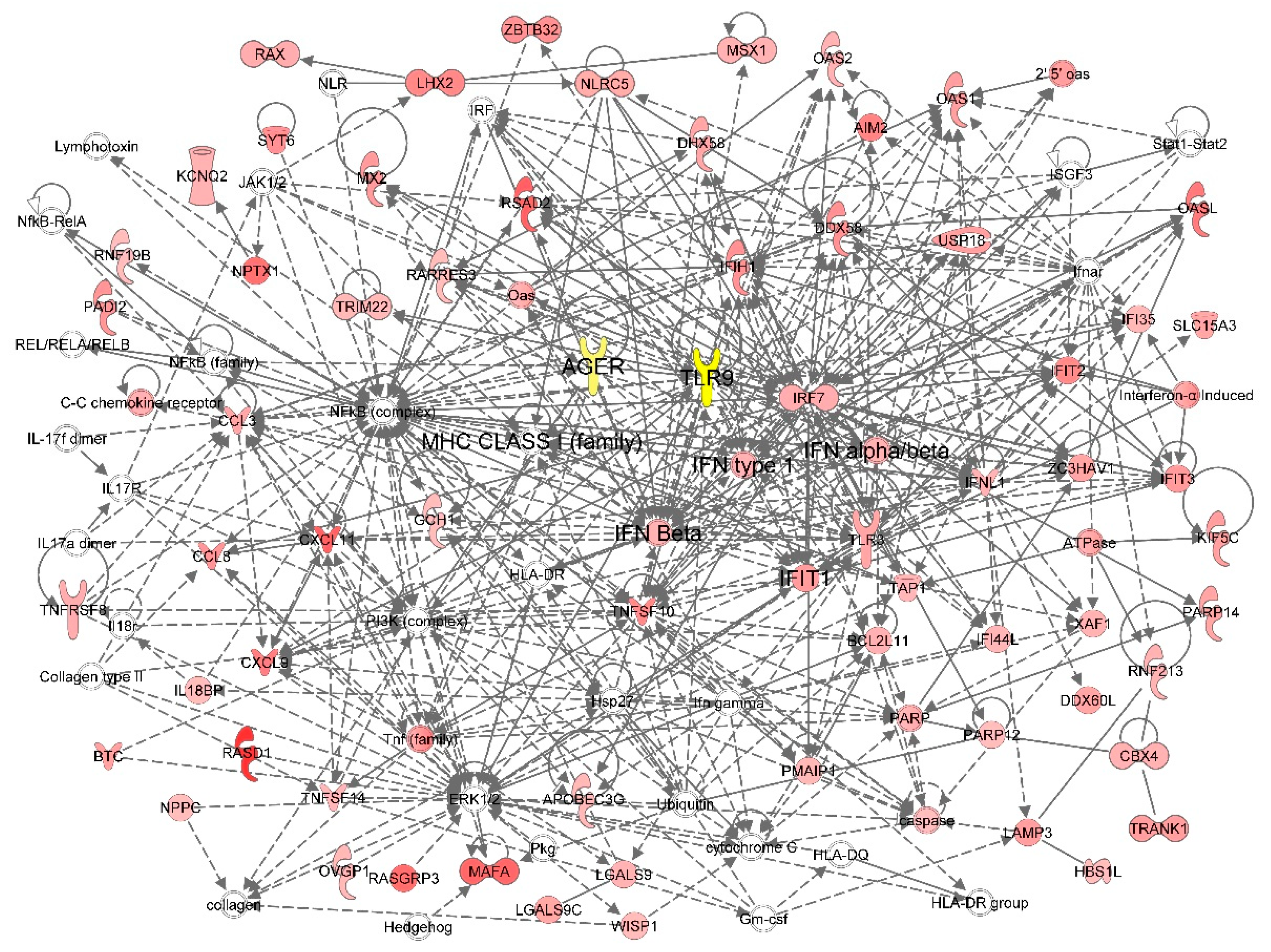 Ijms 22 05833 g005 Ijms 22 05833 g005