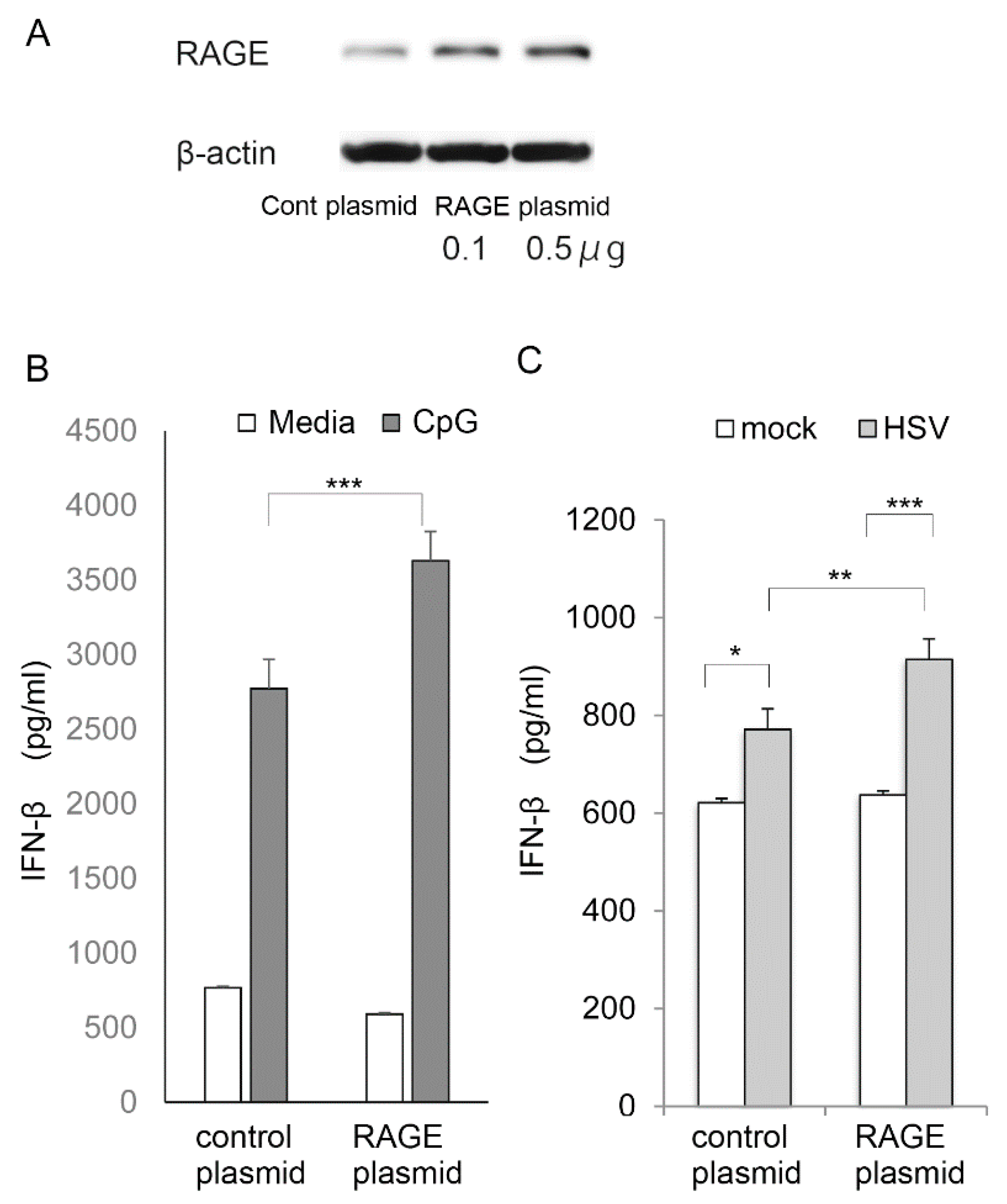 Ijms 22 05833 g006 Ijms 22 05833 g006