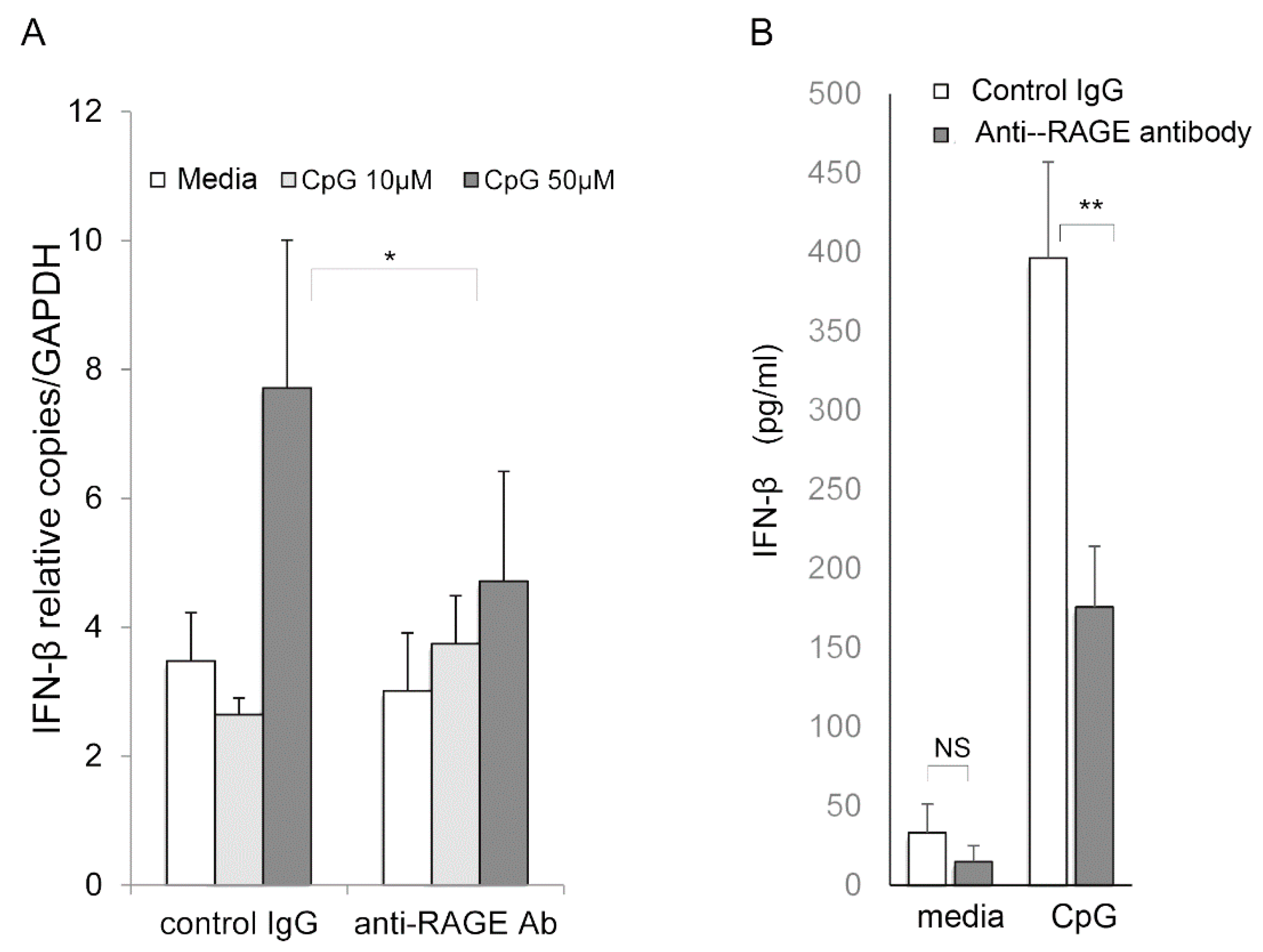 Ijms 22 05833 g007 Ijms 22 05833 g007