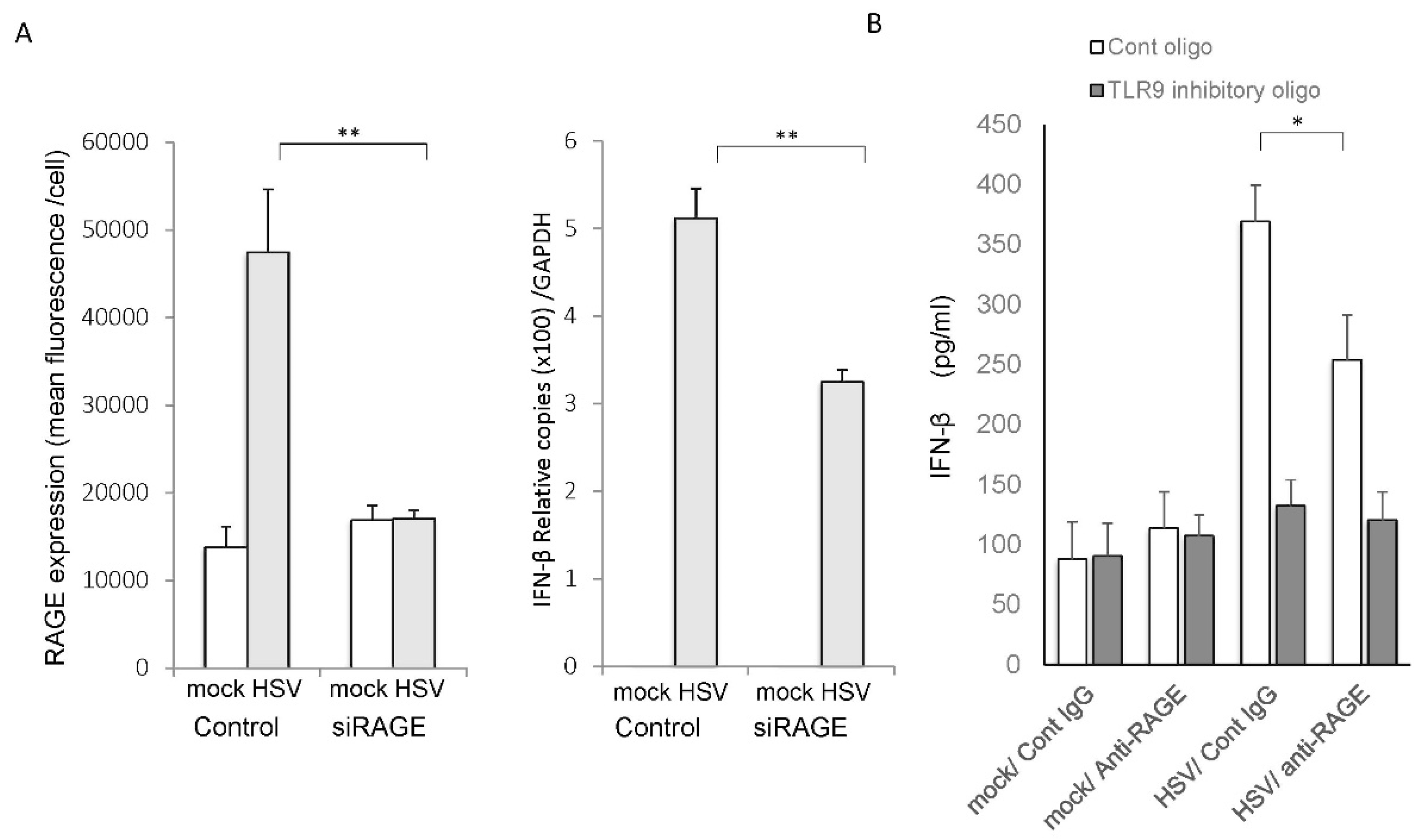 Ijms 22 05833 g008 Ijms 22 05833 g008