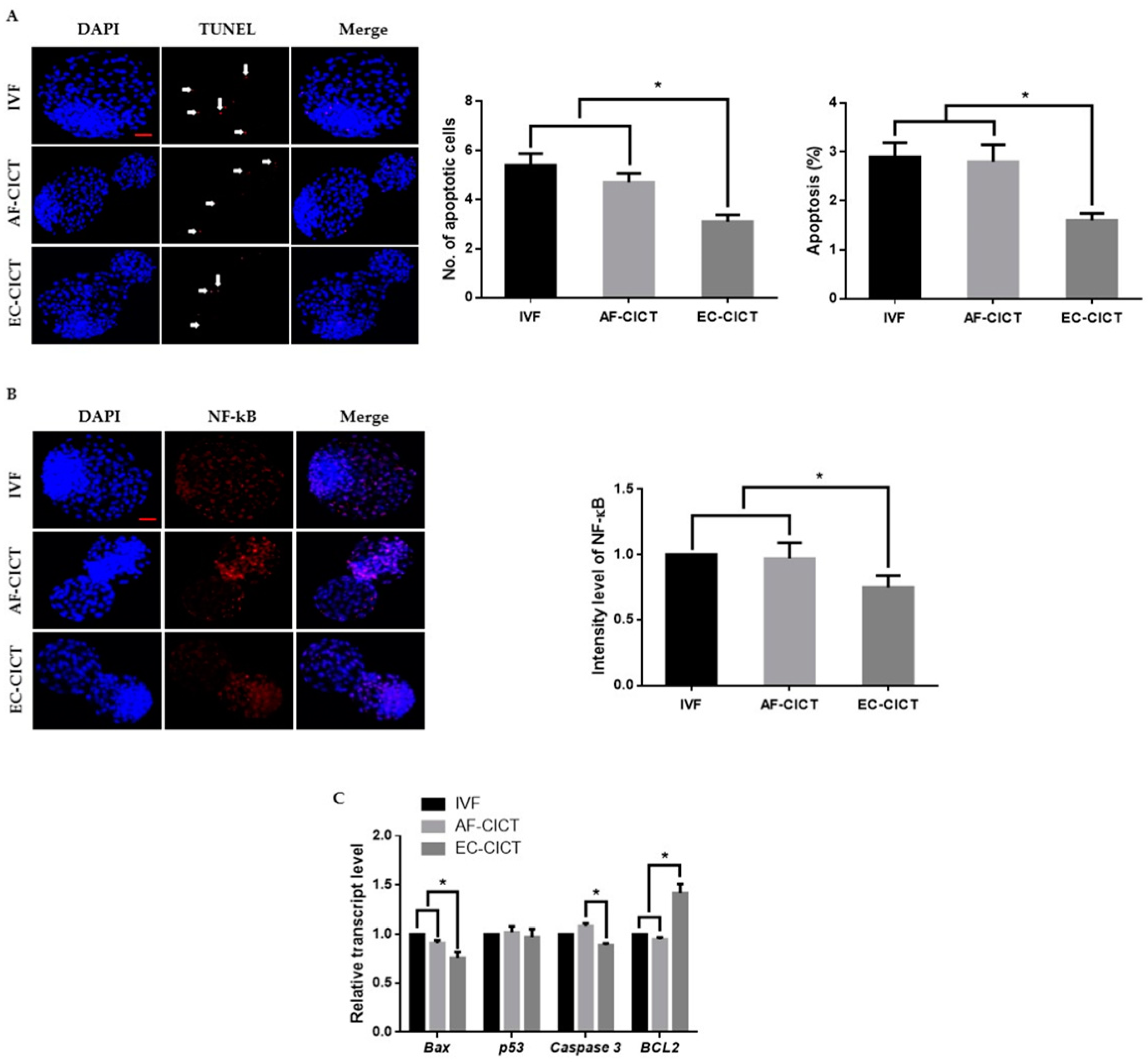 Ijms 22 05841 g003 Ijms 22 05841 g003