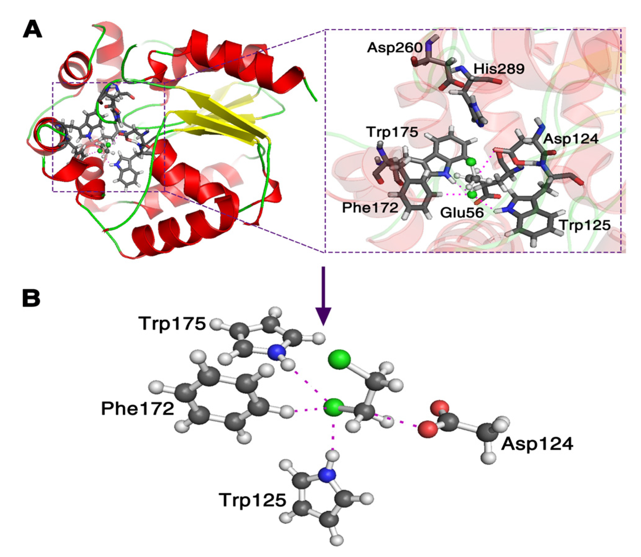 Ijms 22 05854 g001 Ijms 22 05854 g001