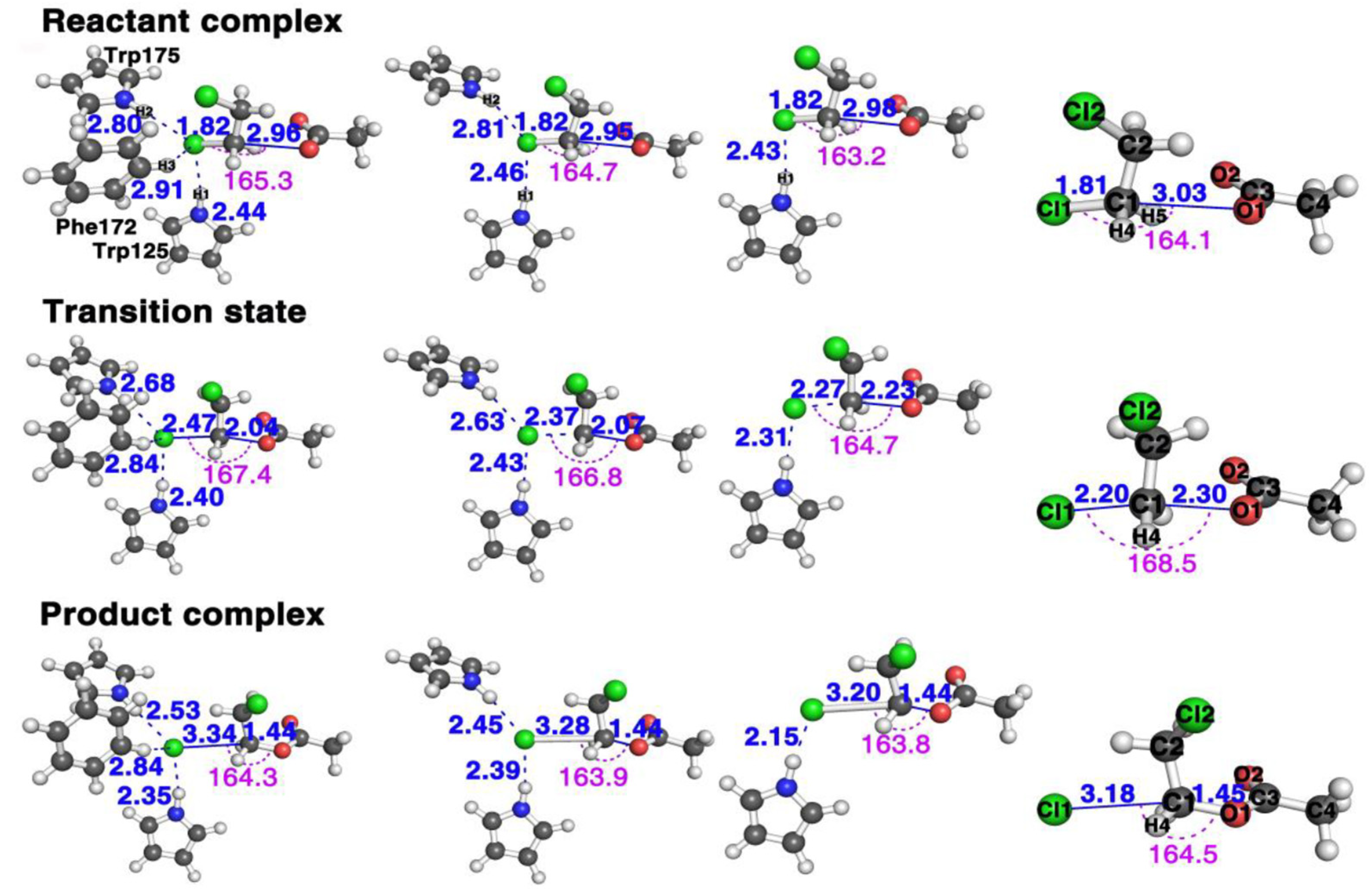 Ijms 22 05854 g002 Ijms 22 05854 g002