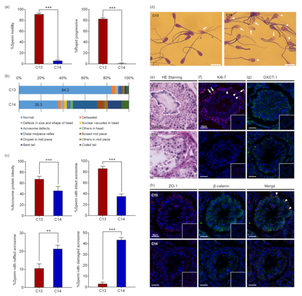 Ijms 22 05857 g001 Ijms 22 05857 g001