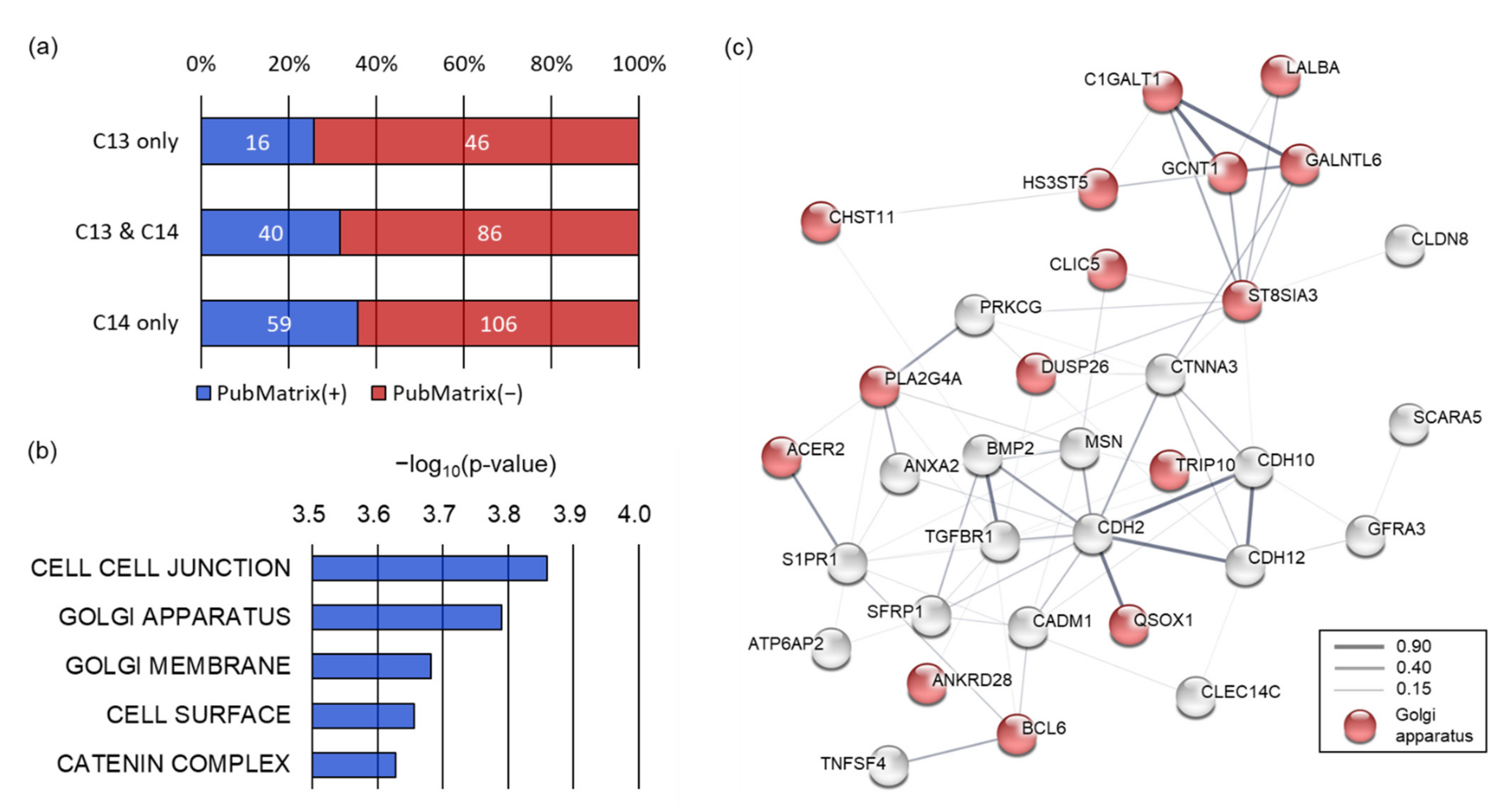Ijms 22 05857 g004 Ijms 22 05857 g004
