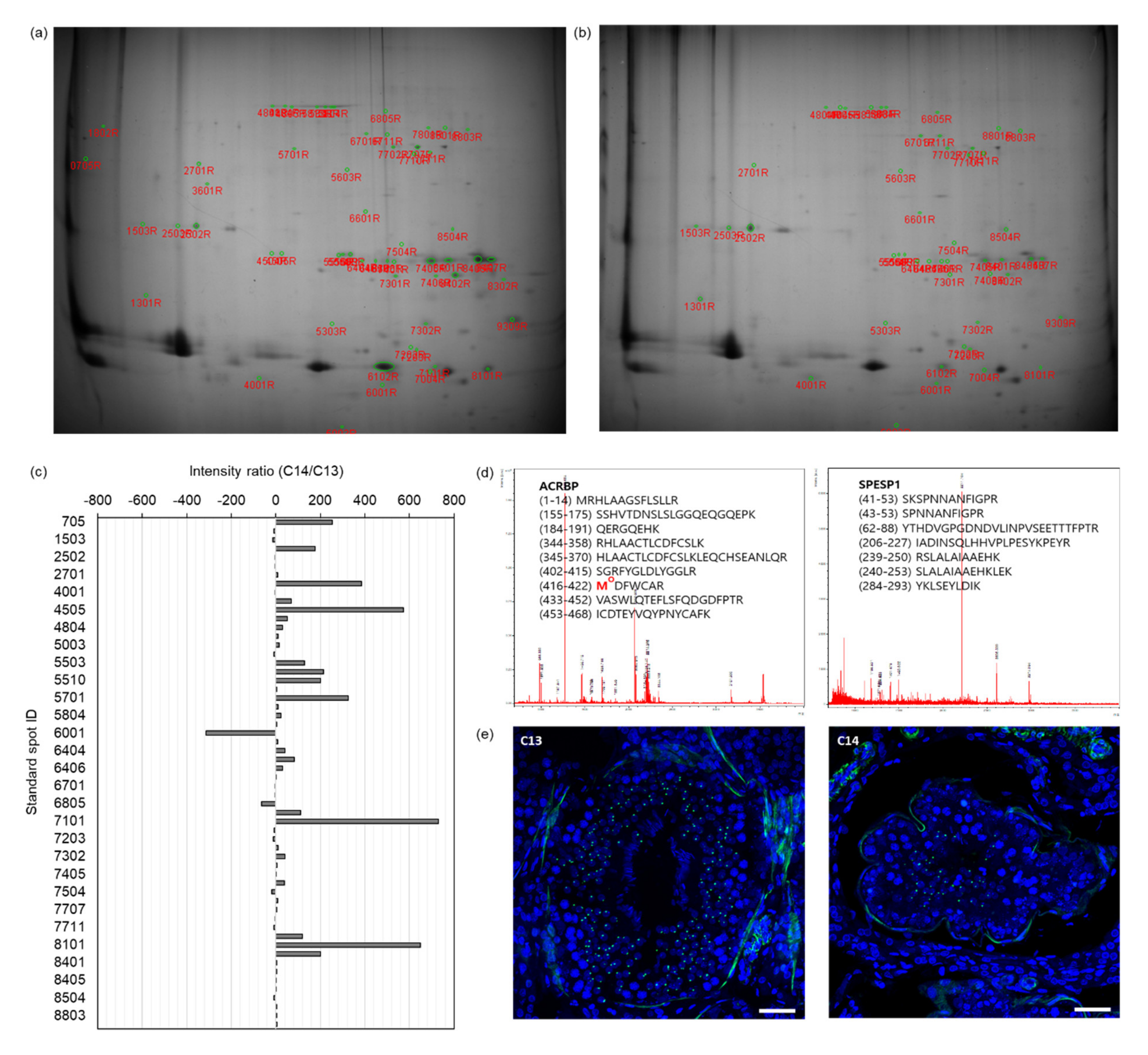 Ijms 22 05857 g005 Ijms 22 05857 g005