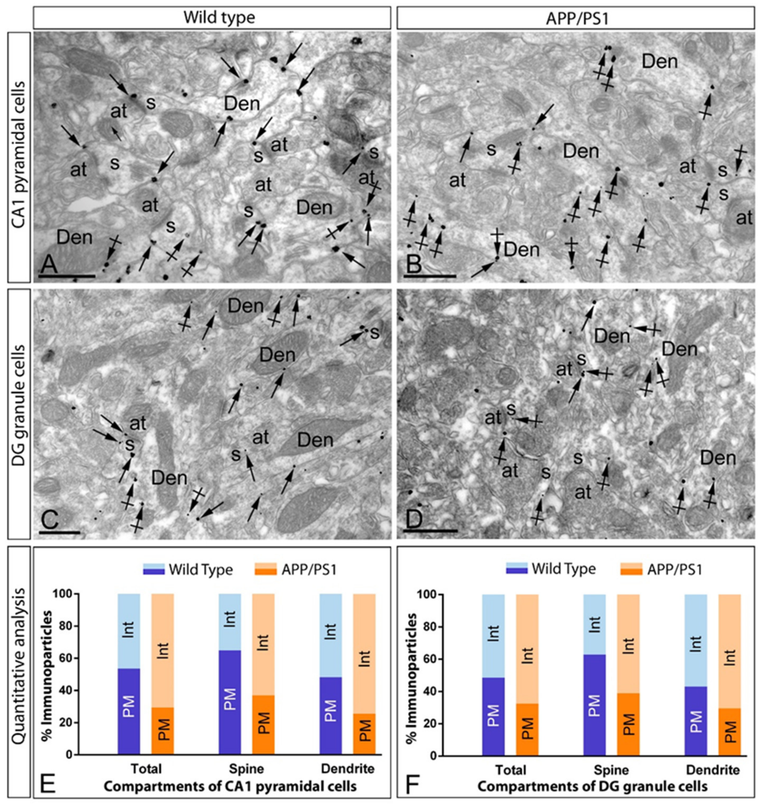 Ijms 22 05867 g005 Ijms 22 05867 g005