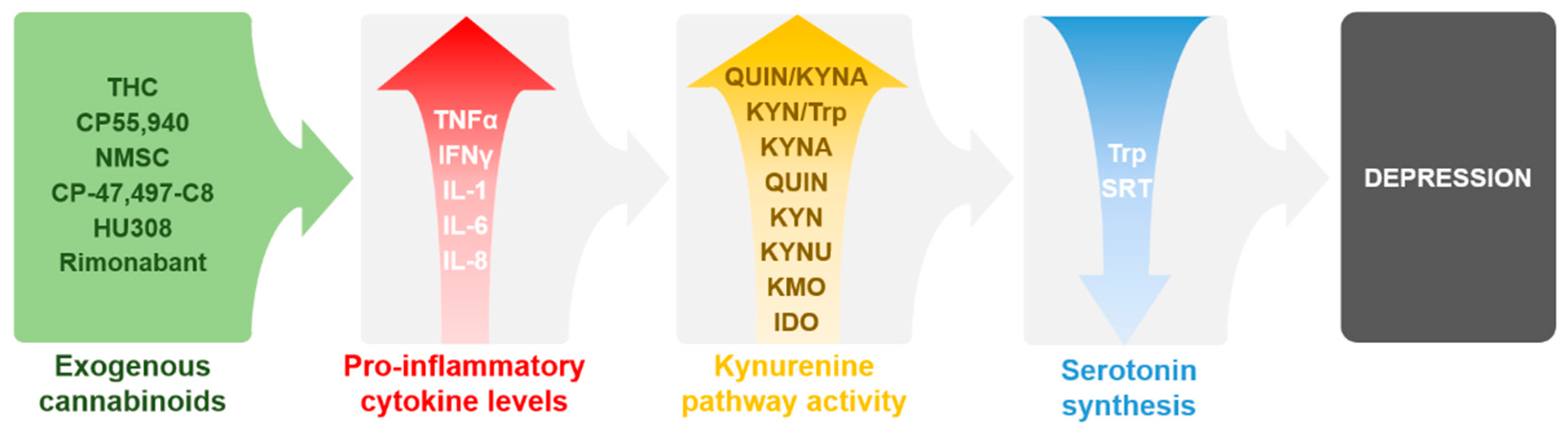 Ijms 22 05903 g002 Ijms 22 05903 g002