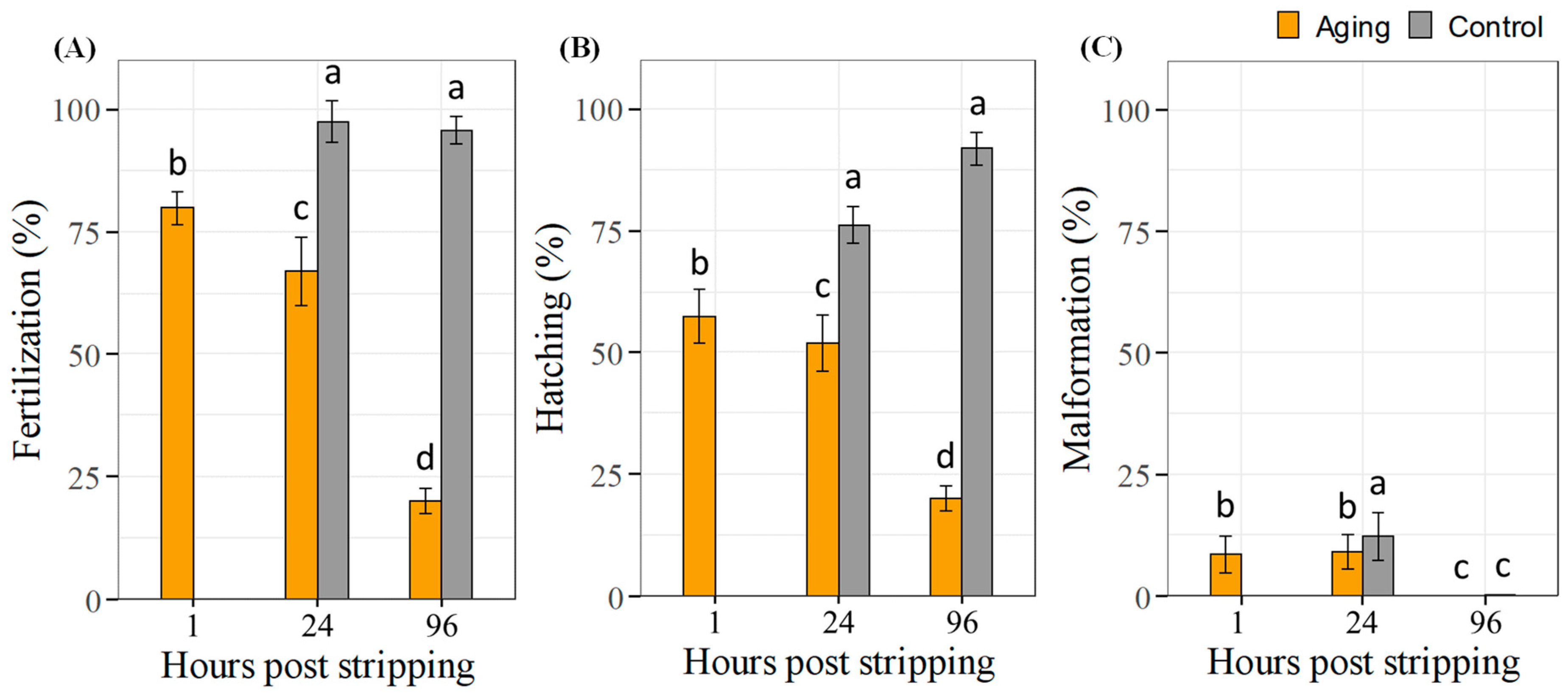 Ijms 22 05925 g003 Ijms 22 05925 g003