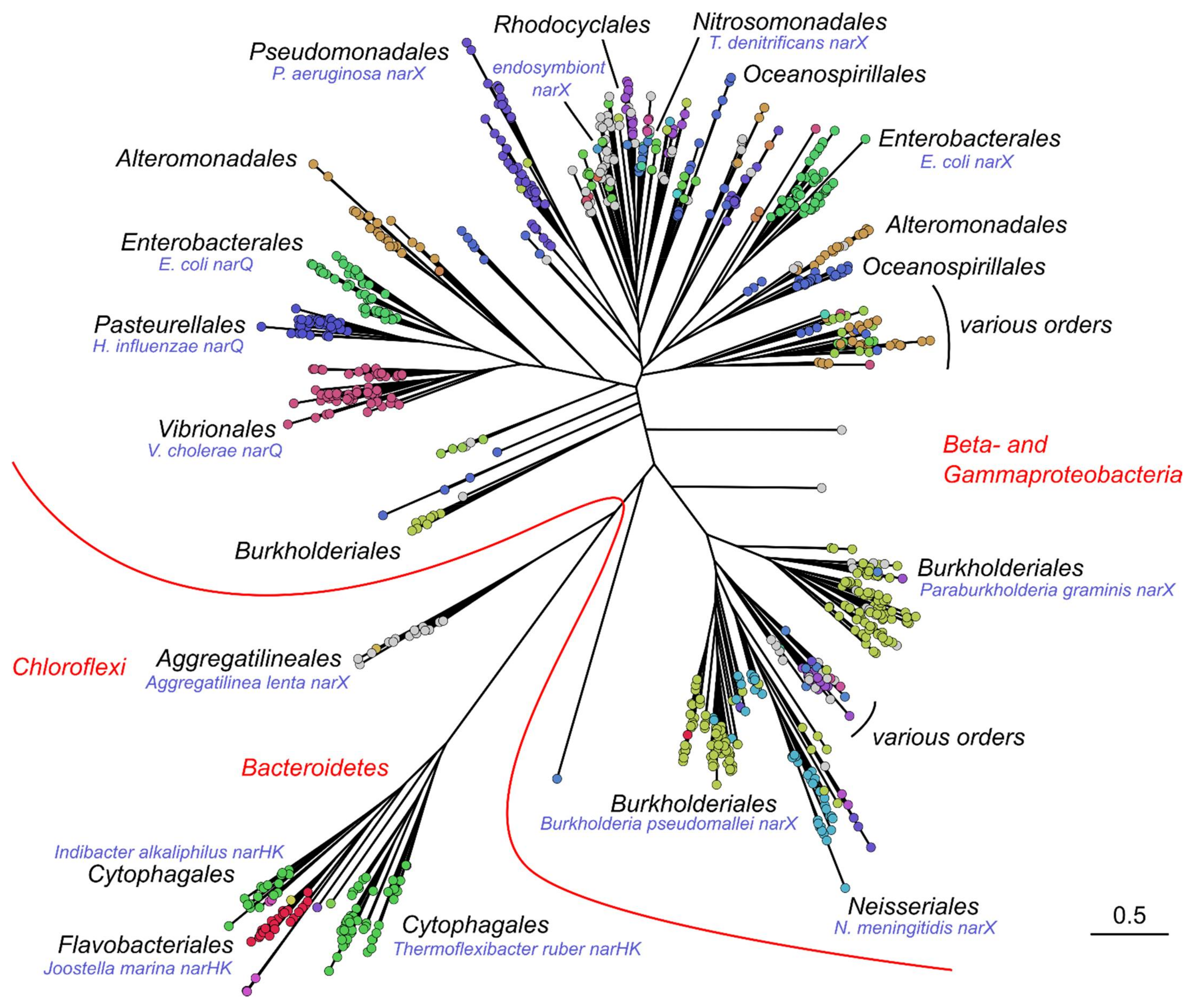 Ijms 22 05933 g002 Ijms 22 05933 g002