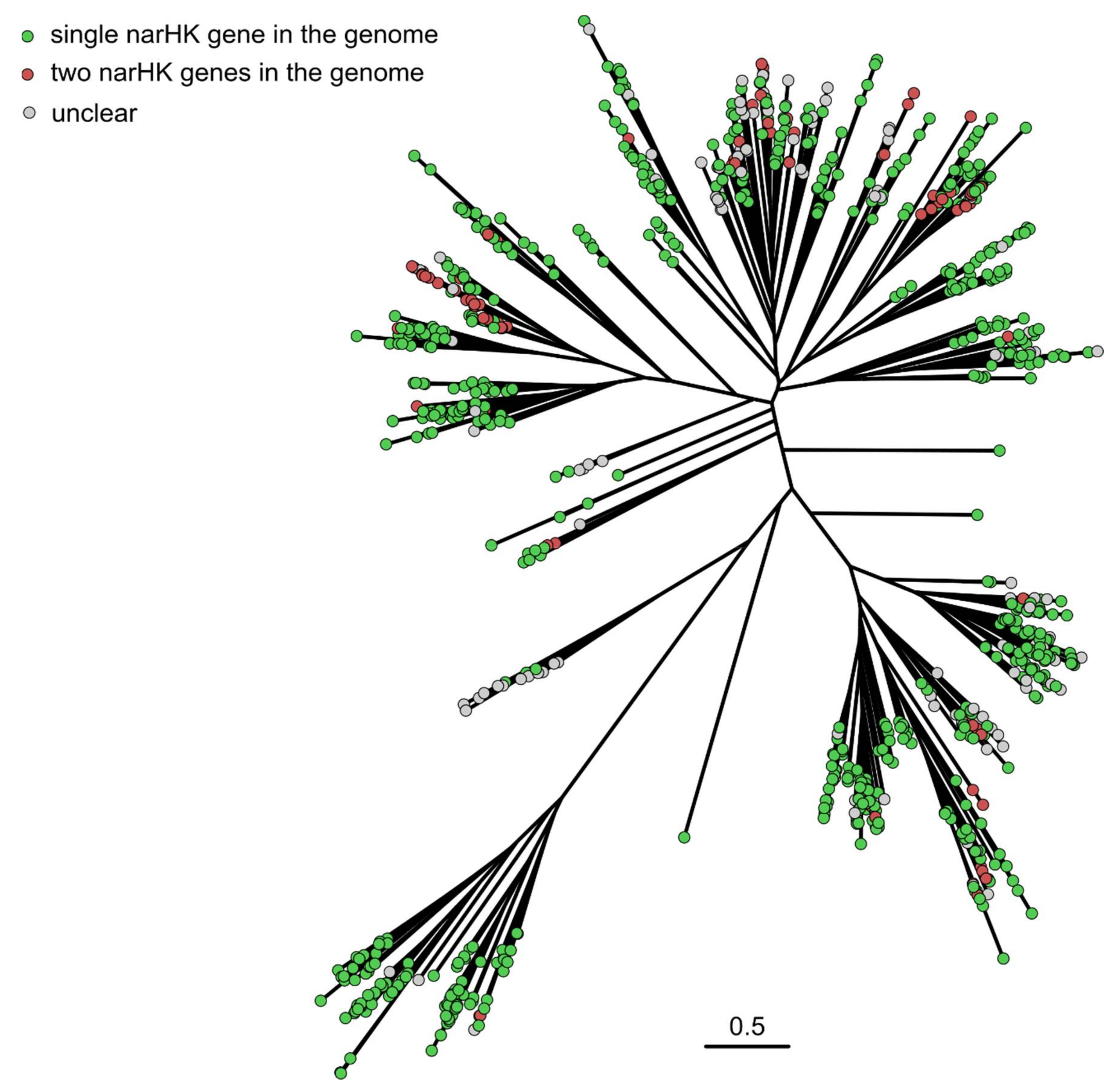 Ijms 22 05933 g004 Ijms 22 05933 g004