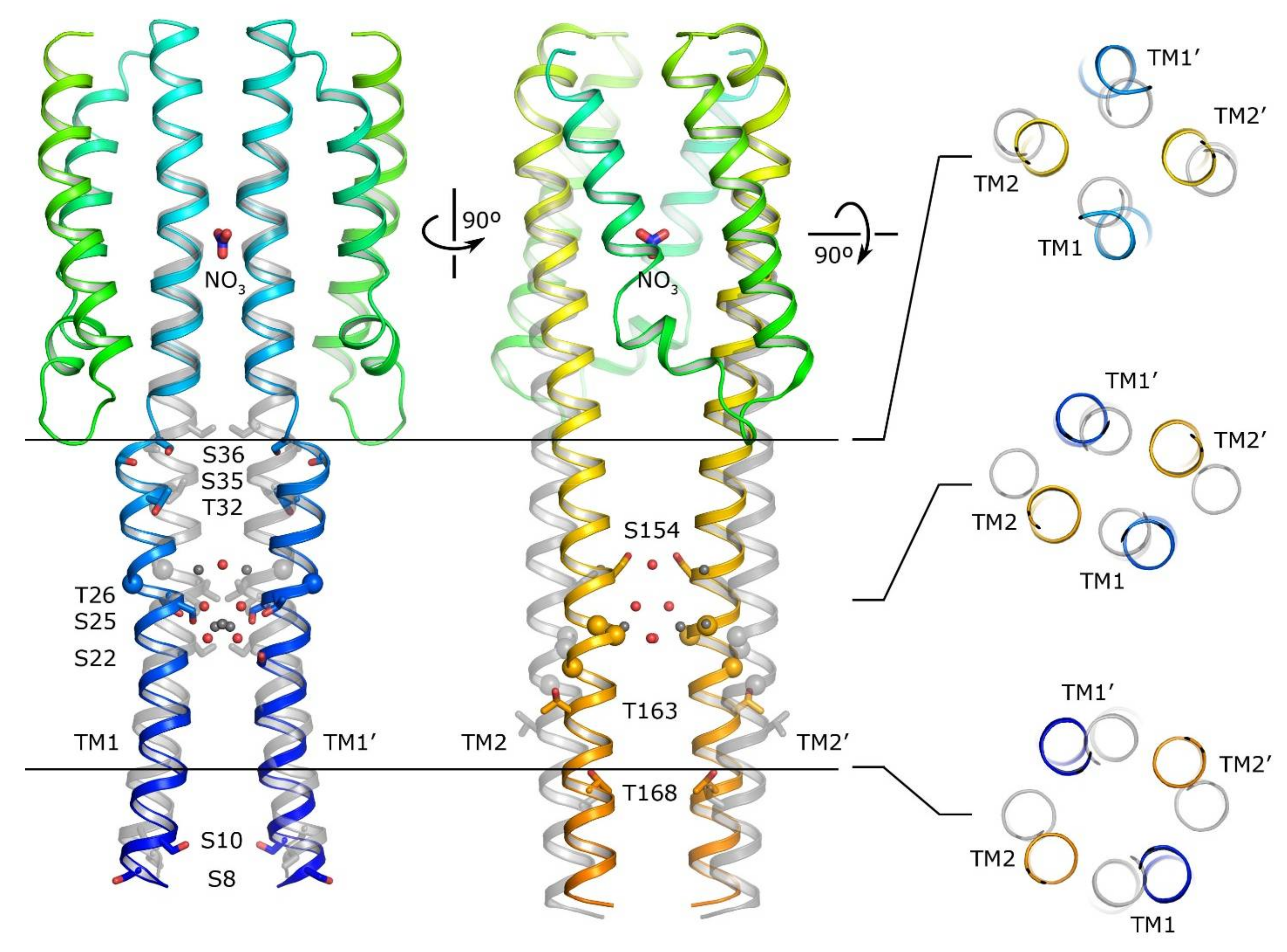 Ijms 22 05933 g007 Ijms 22 05933 g007