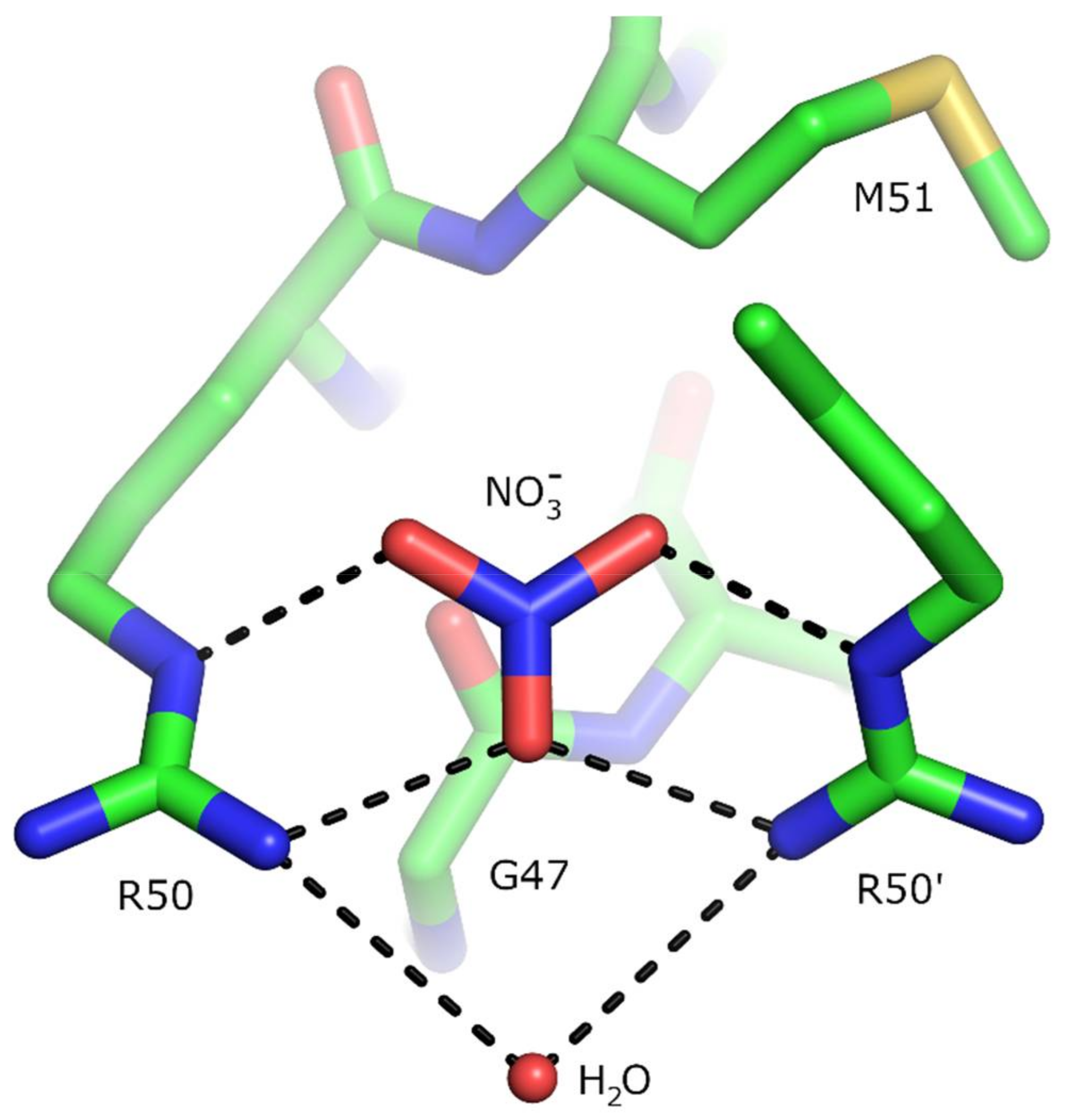 Ijms 22 05933 g008 Ijms 22 05933 g008