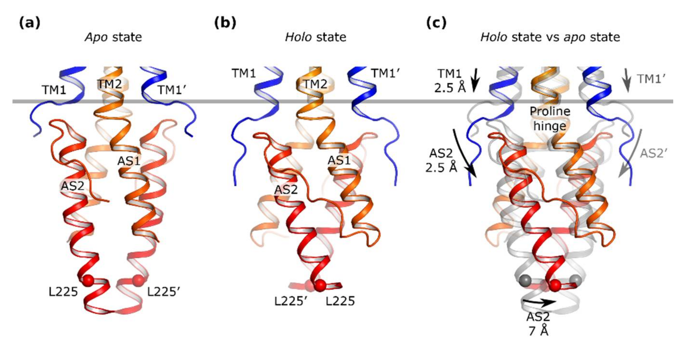 Ijms 22 05933 g011 Ijms 22 05933 g011