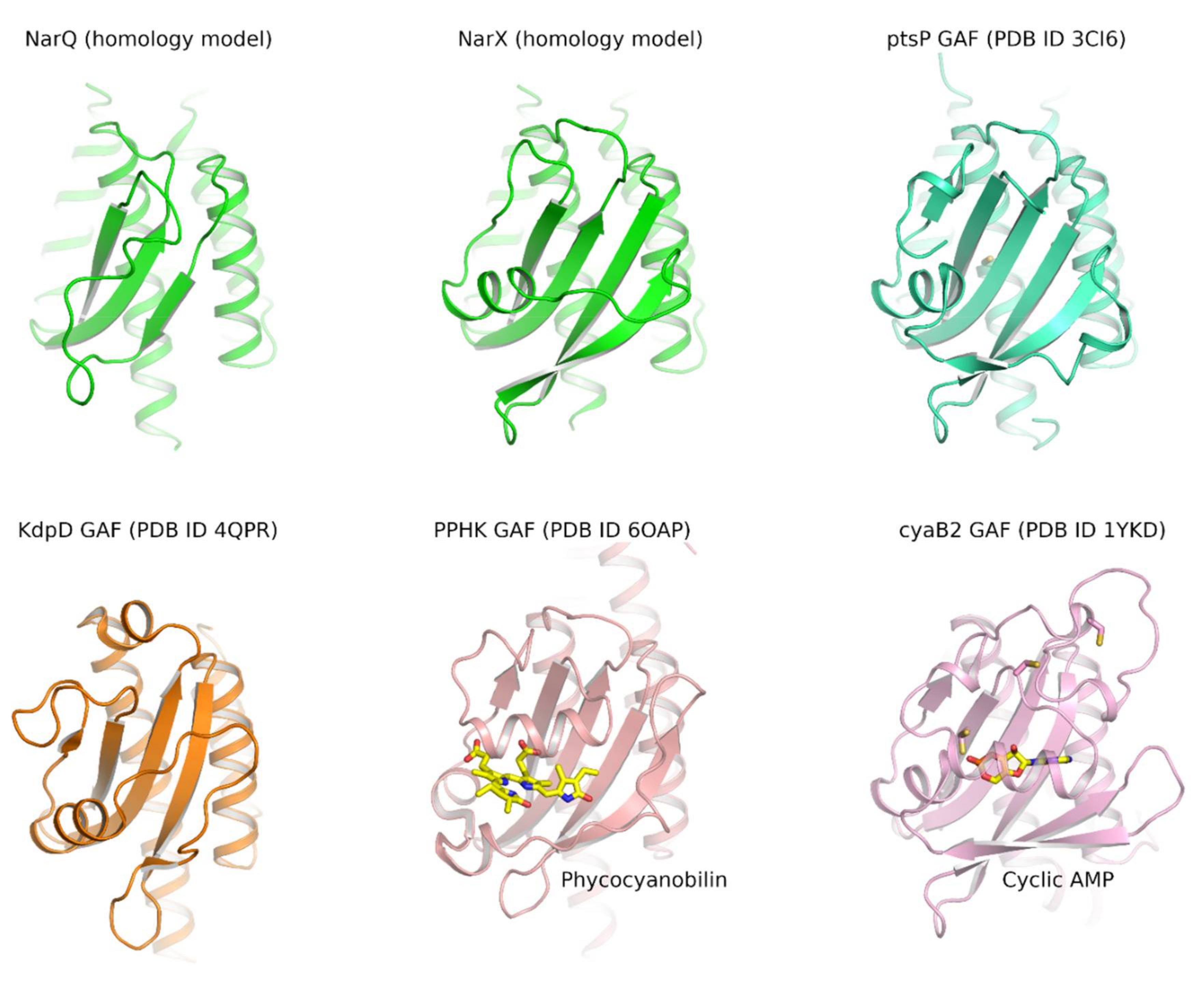 Ijms 22 05933 g013 Ijms 22 05933 g013