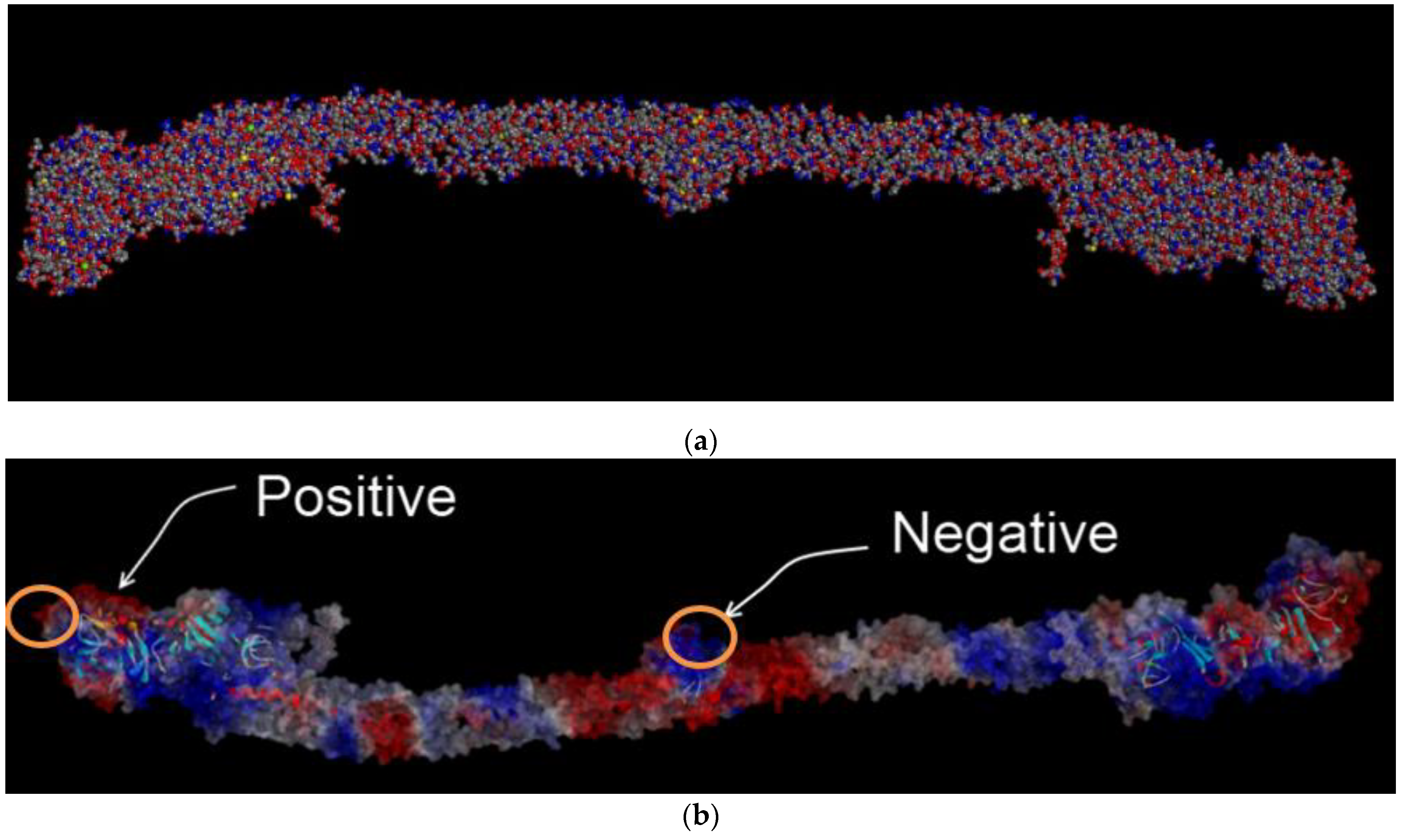 Ijms 22 05946 g003 Ijms 22 05946 g003