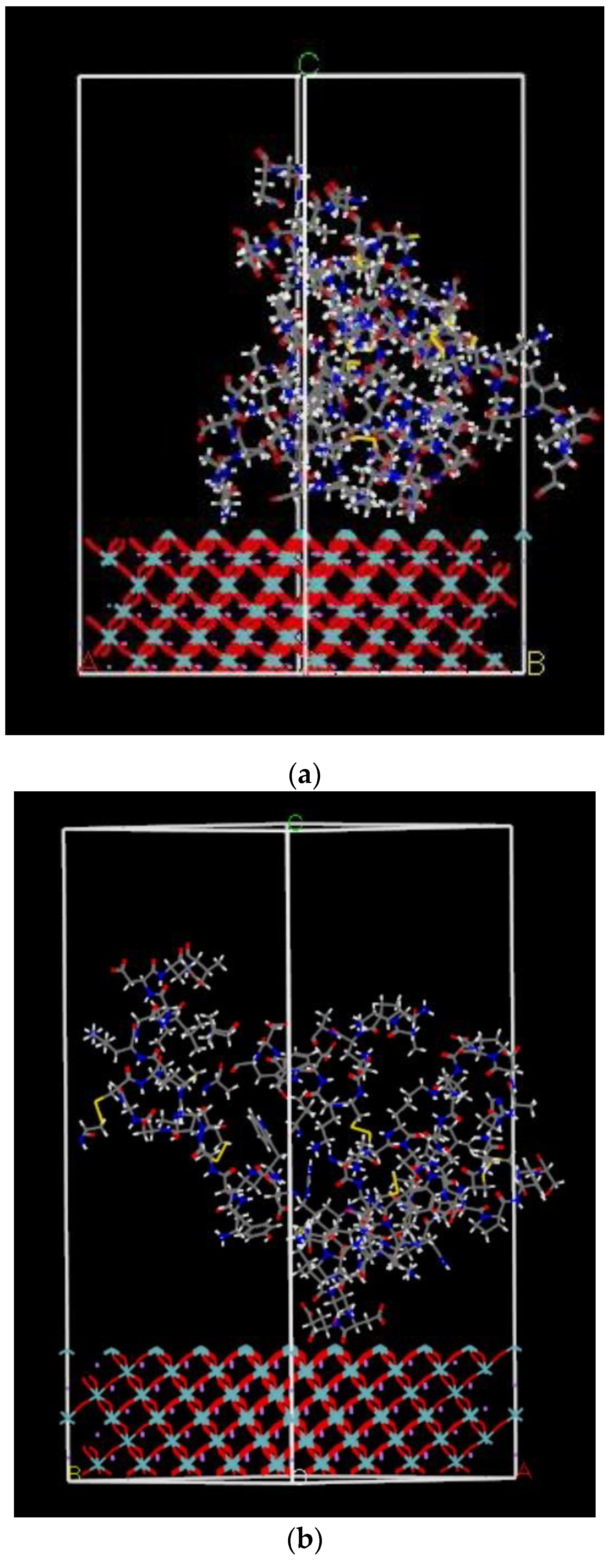 Ijms 22 05946 g005 Ijms 22 05946 g005